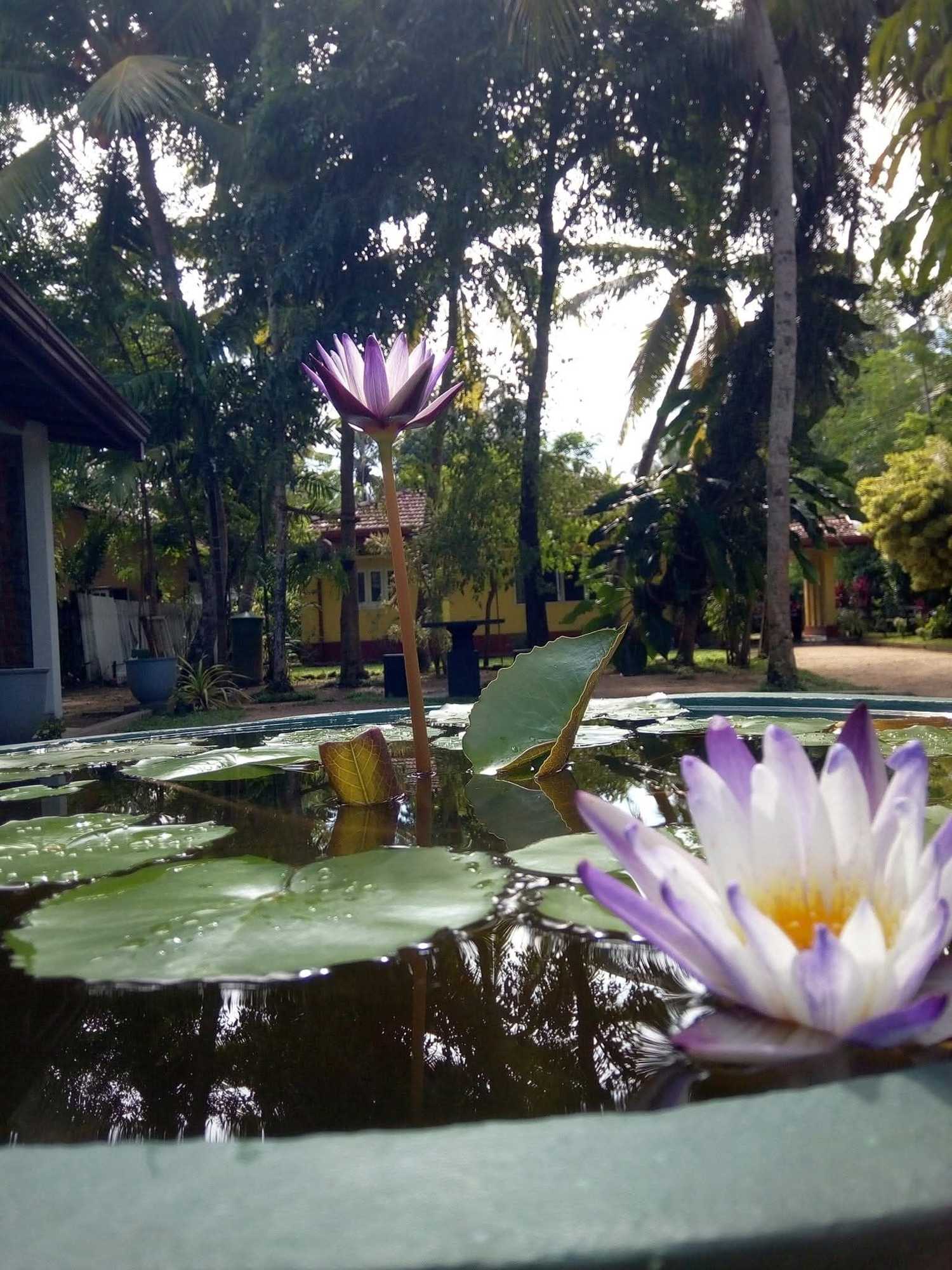 Gift card for Shenya Villa