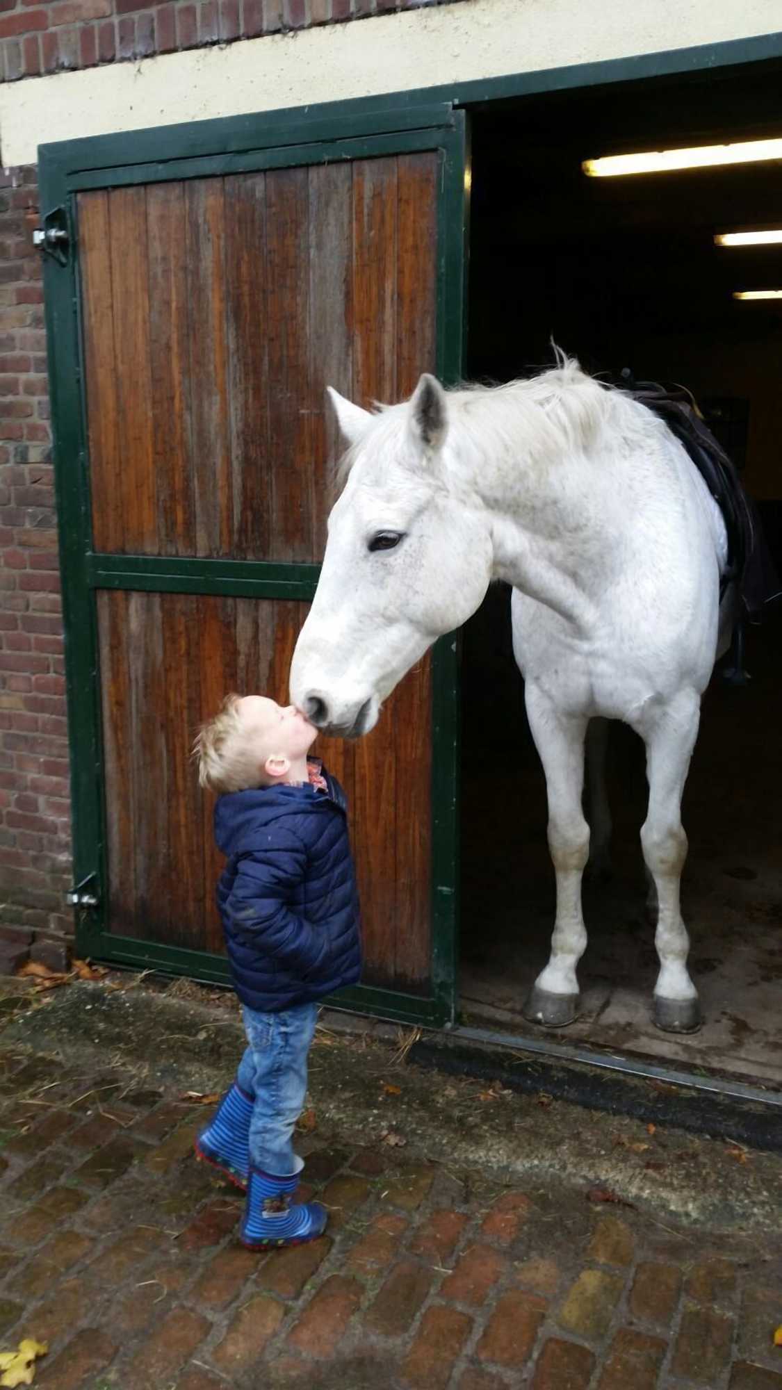 Gift card for Erve Het Roolvink