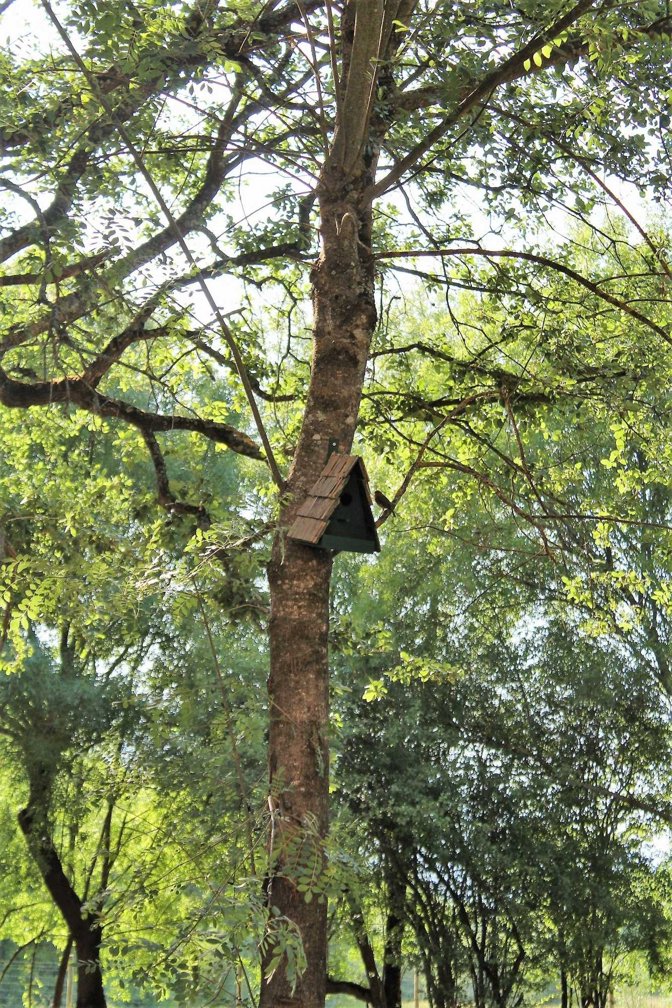 Gift card for Retiro do Bosque Country House Gift card for Retiro do Bosque Country House