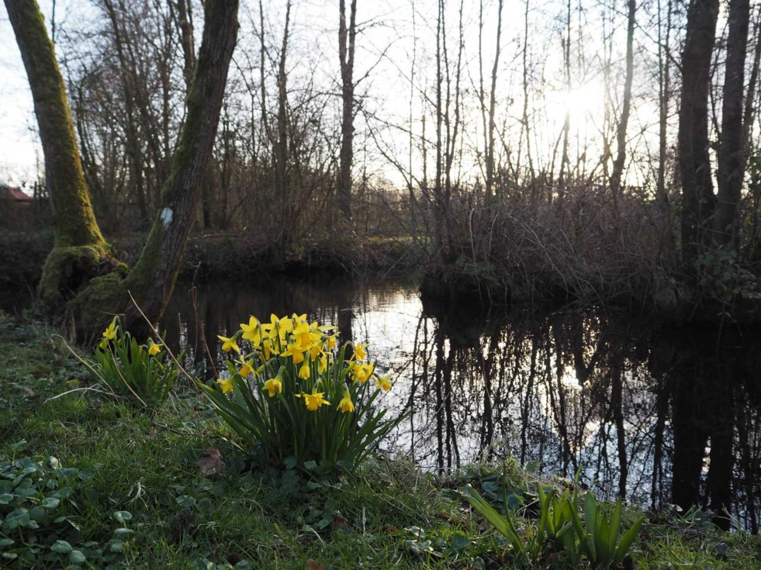 Gift card for Bed & Brochje Burgum