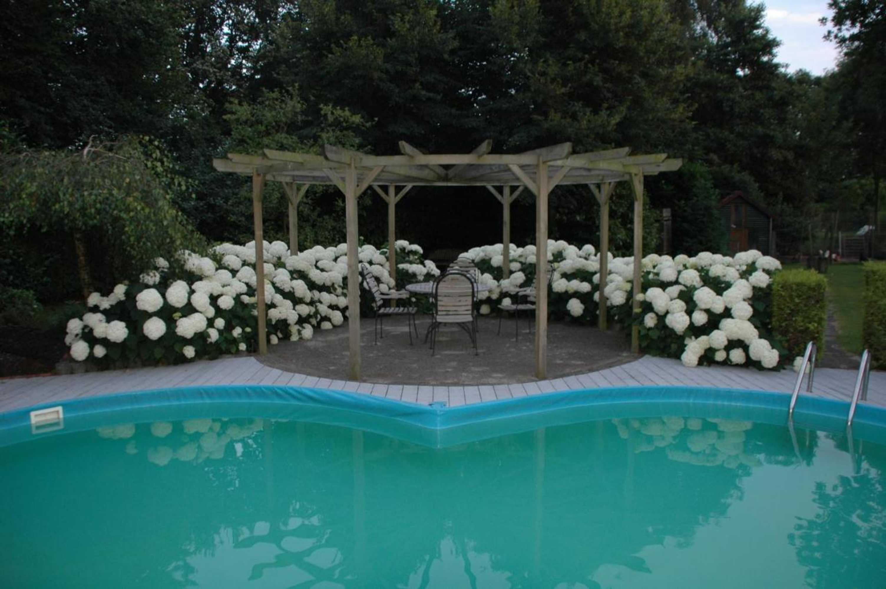 Gift card for Bed & Breakfast Ouwerveldezicht