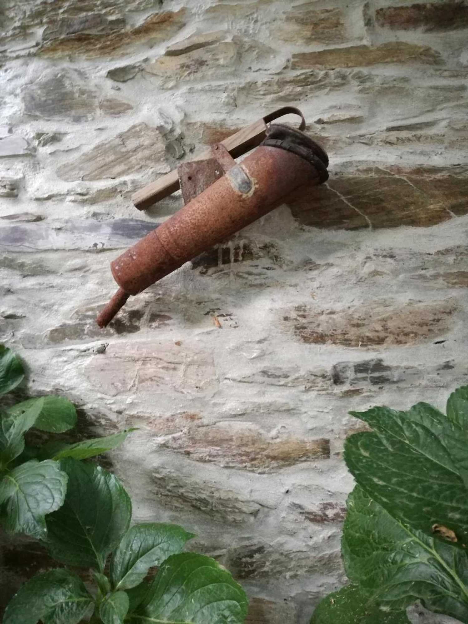 Gift card for O Zé Já Dormiu Aqui