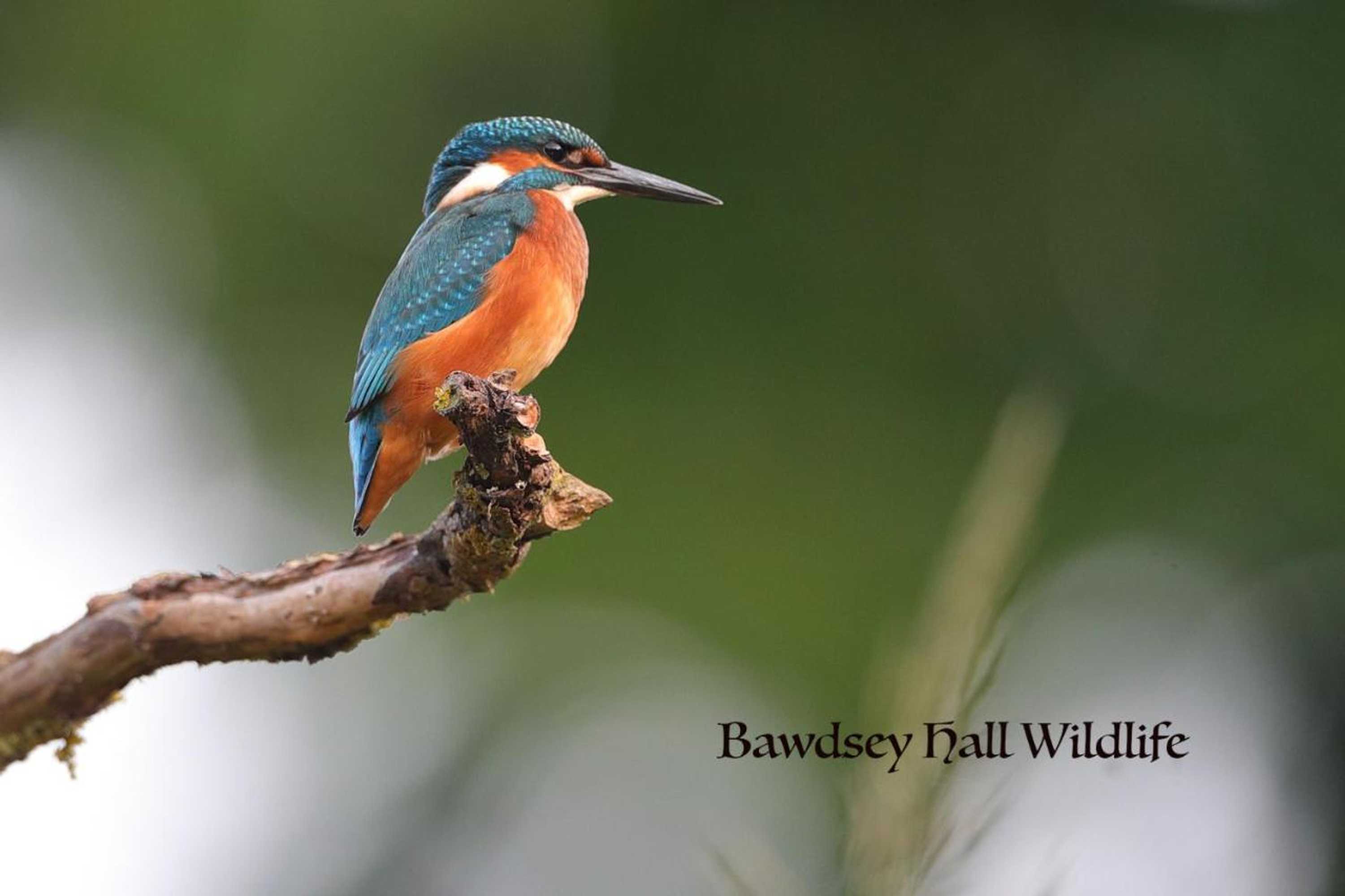 Gift card for Bawdsey Hall