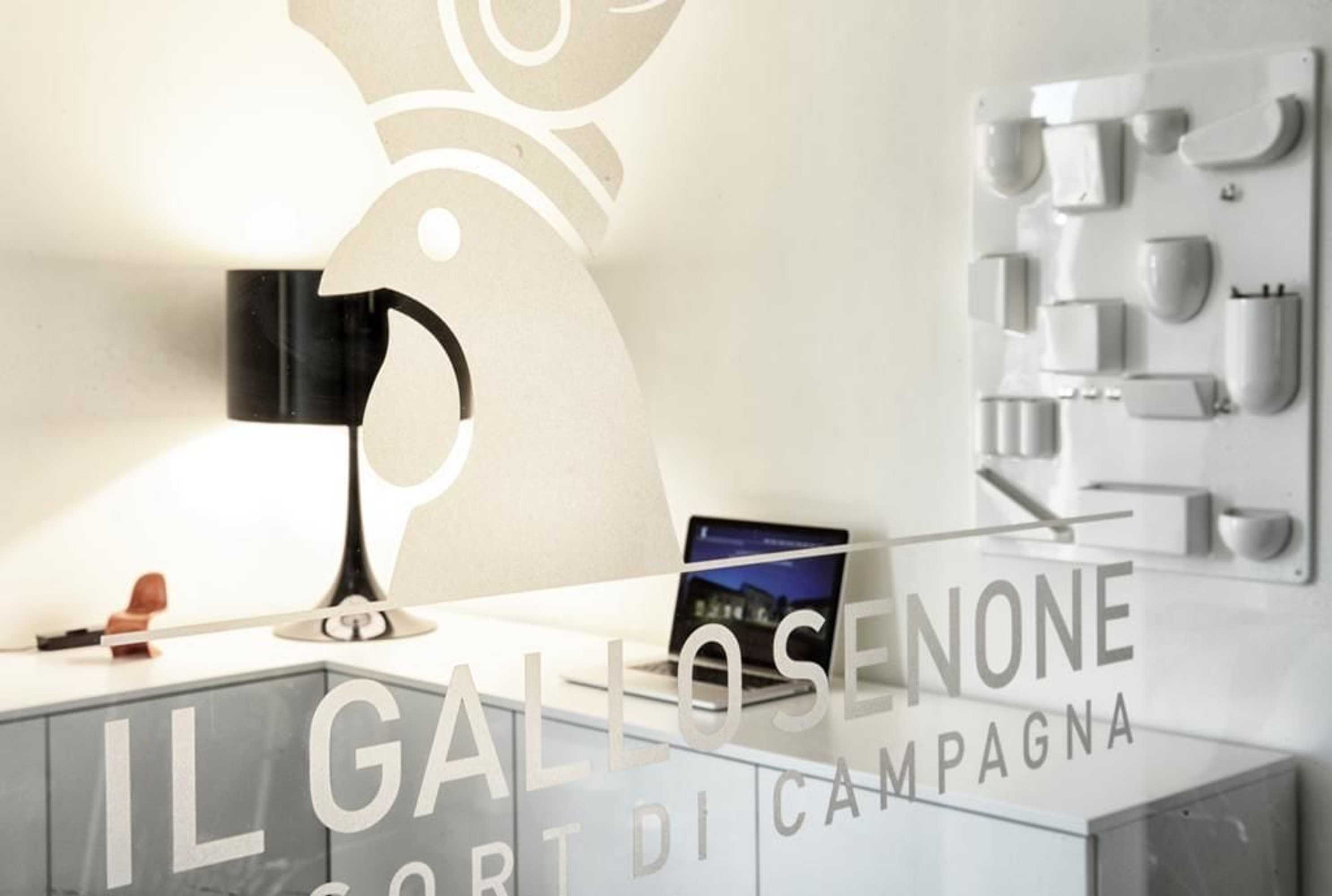 Gift card for Il Gallo Senone Gift card for Il Gallo Senone