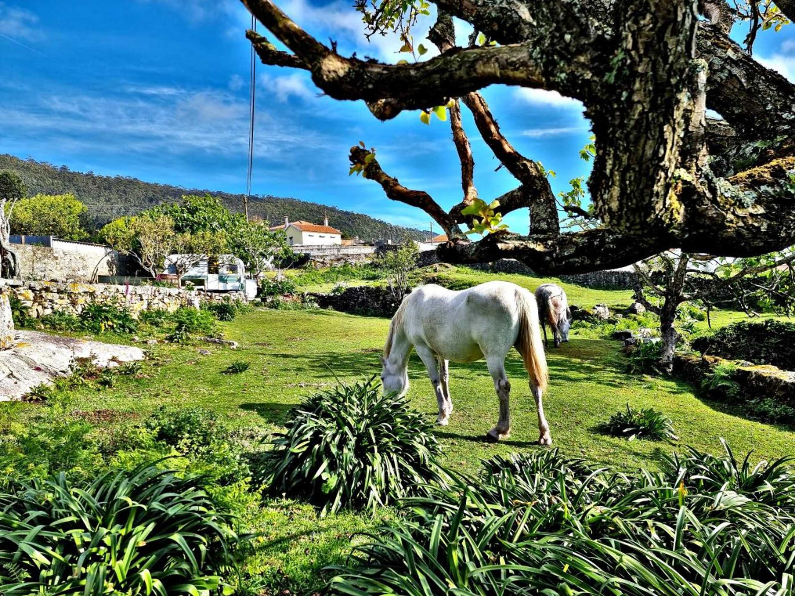 Gift card for Albergue Casa do Sardão Gift card for Albergue Casa do Sardão