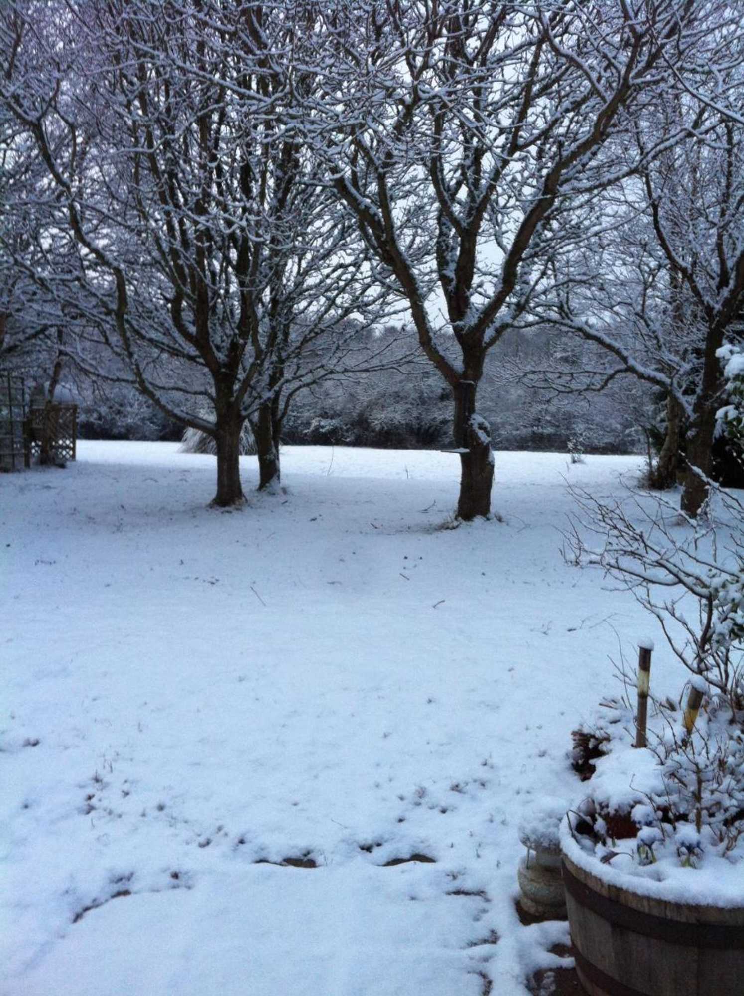 Gift card for Jonti Bed And Breakfast