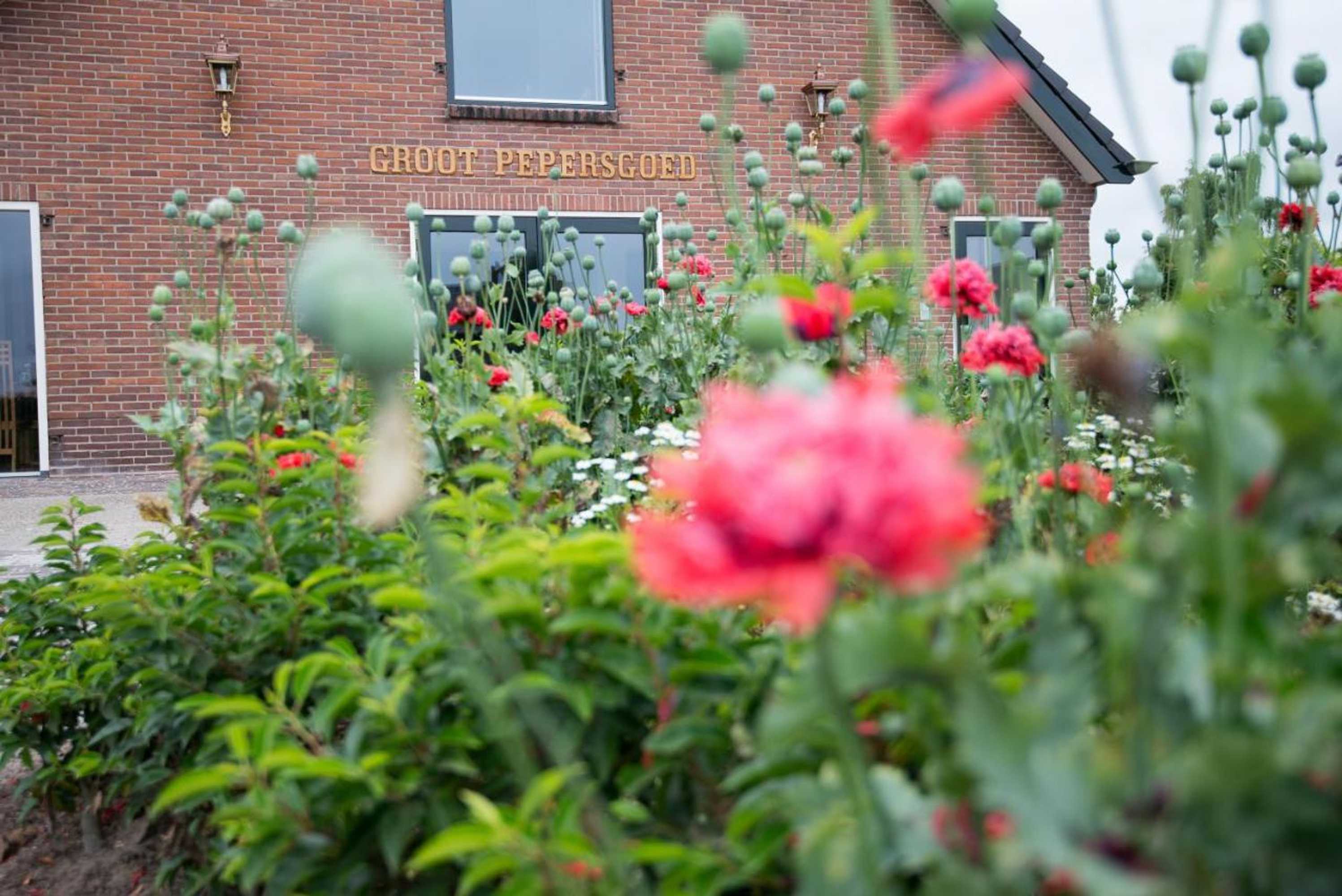 Gift card for B&b Groot Pepersgoed