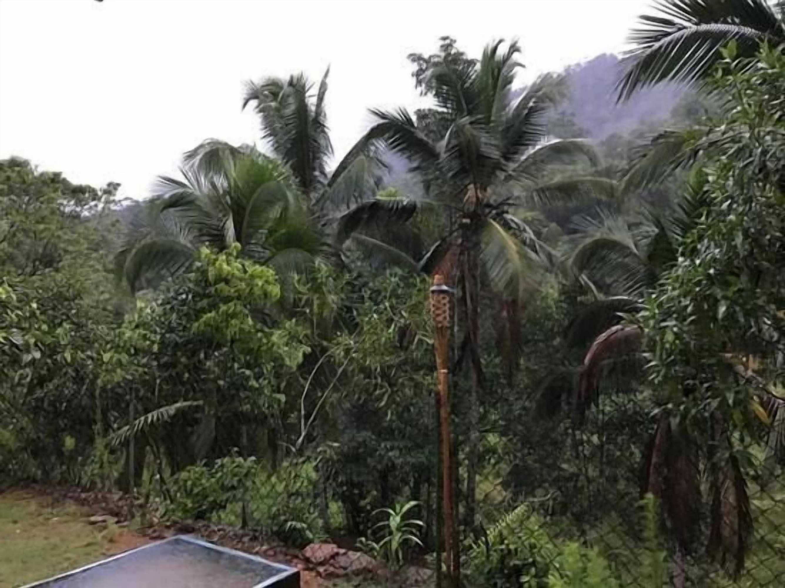 Gift card for 360 Rainforest