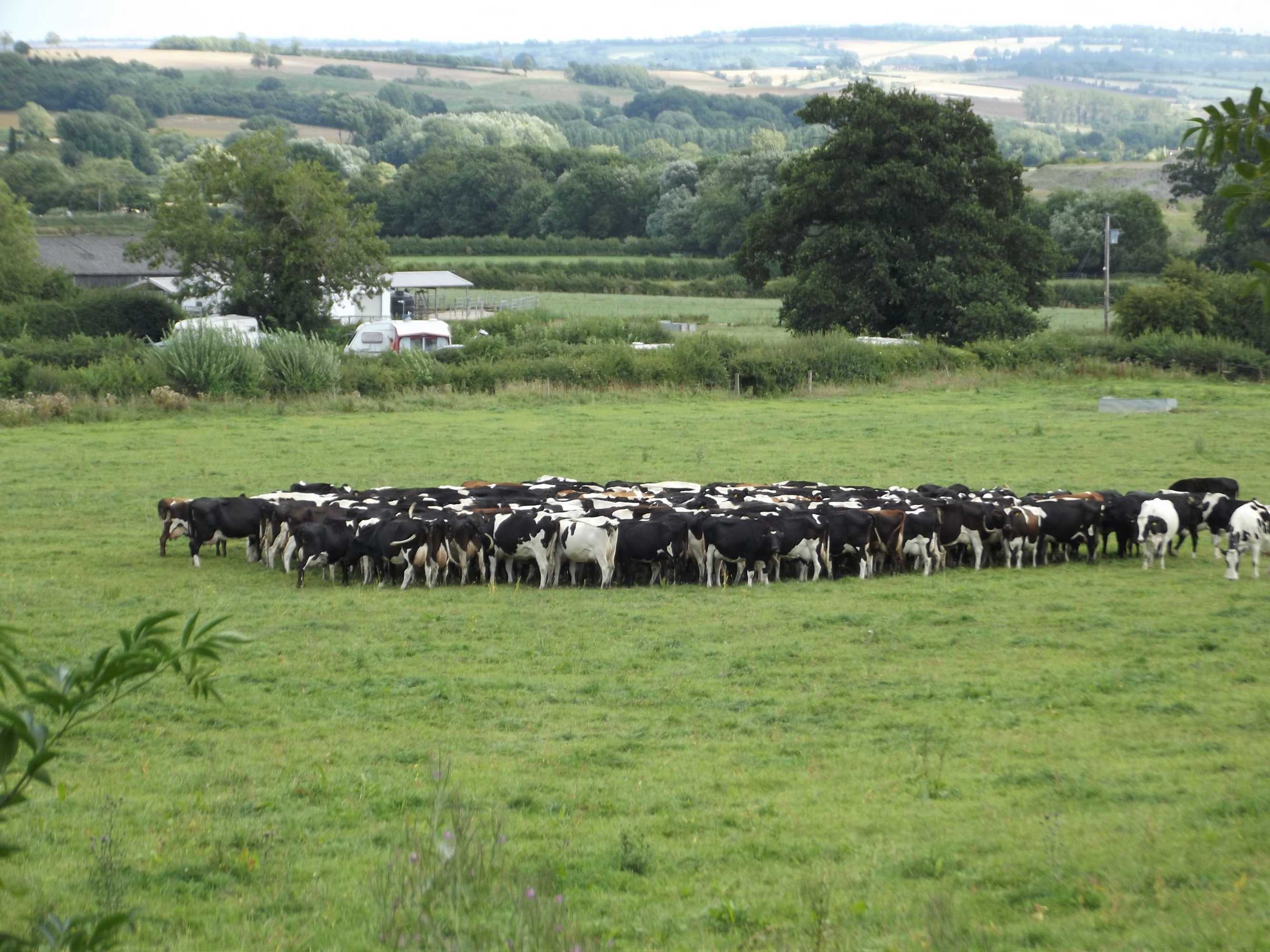 Gift card for Bridge Farm Holiday Cottages Gift card for Bridge Farm Holiday Cottages