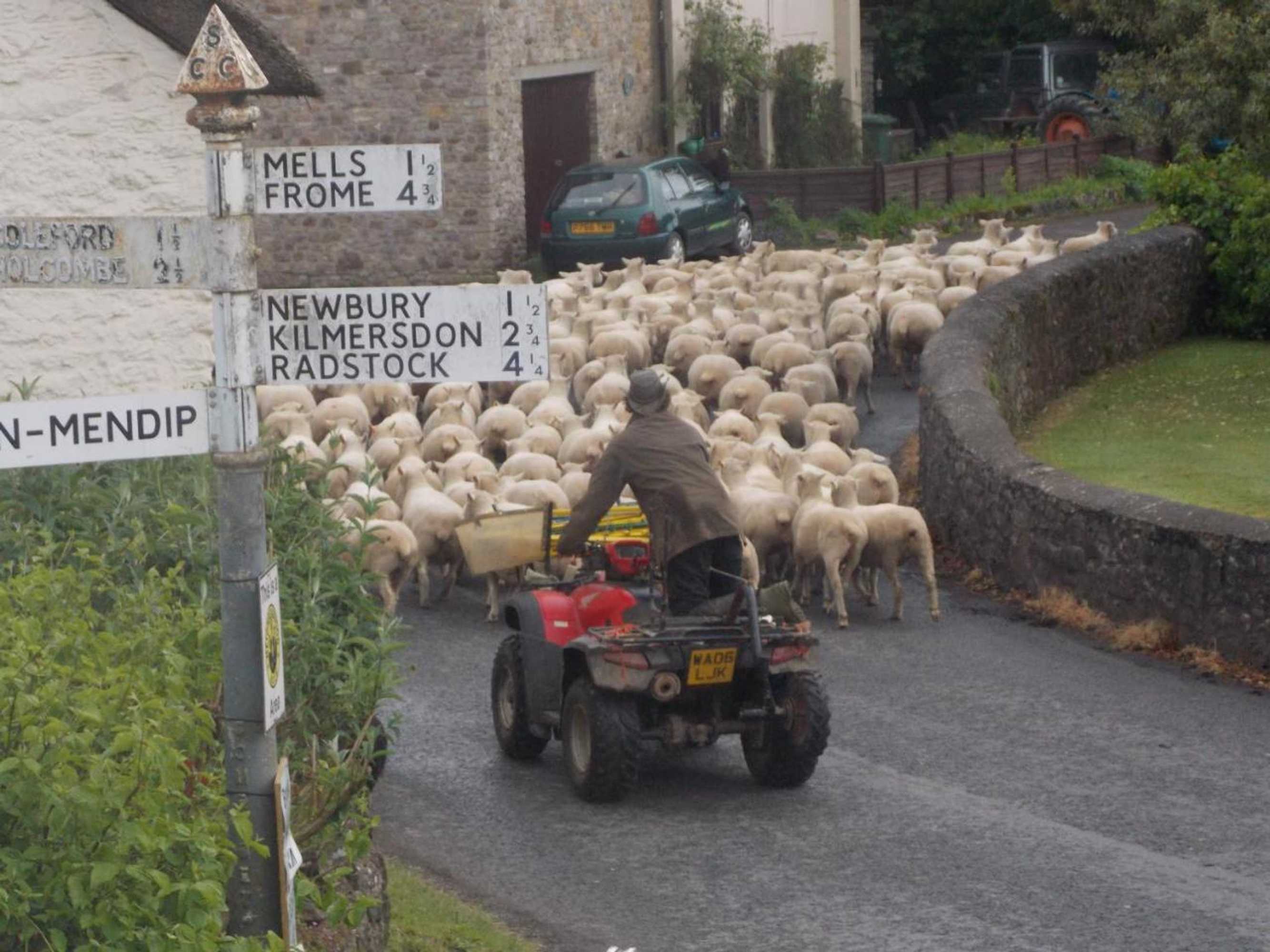 Gift card for Glamping on The Hill