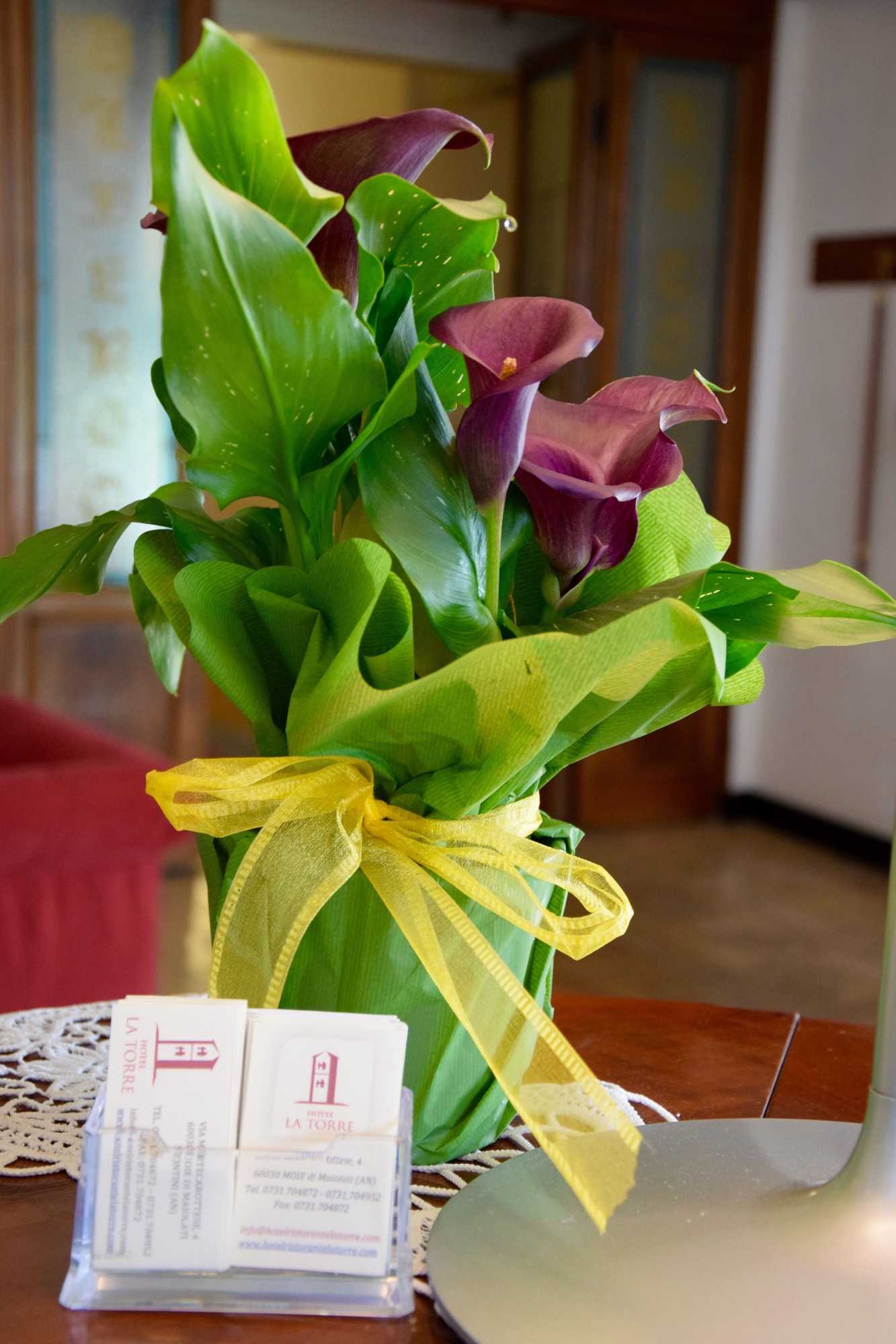 Gift card for Hotel La Torre Gift card for Hotel La Torre
