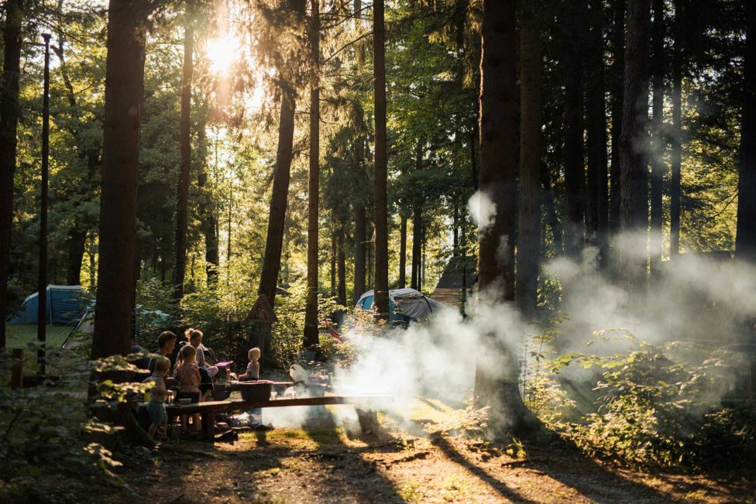 Gift card for Forest Camping Mozirje