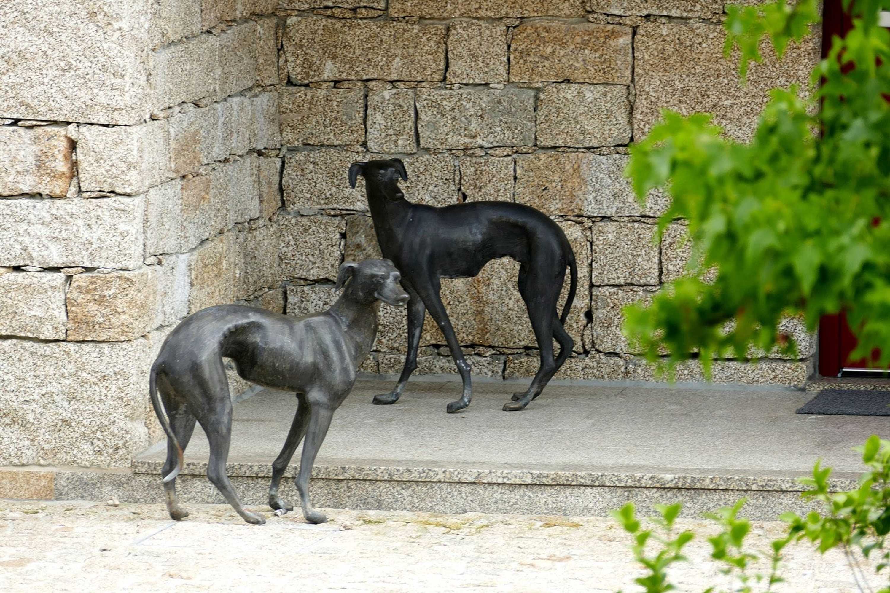 Gift card for Moinho da Lapa