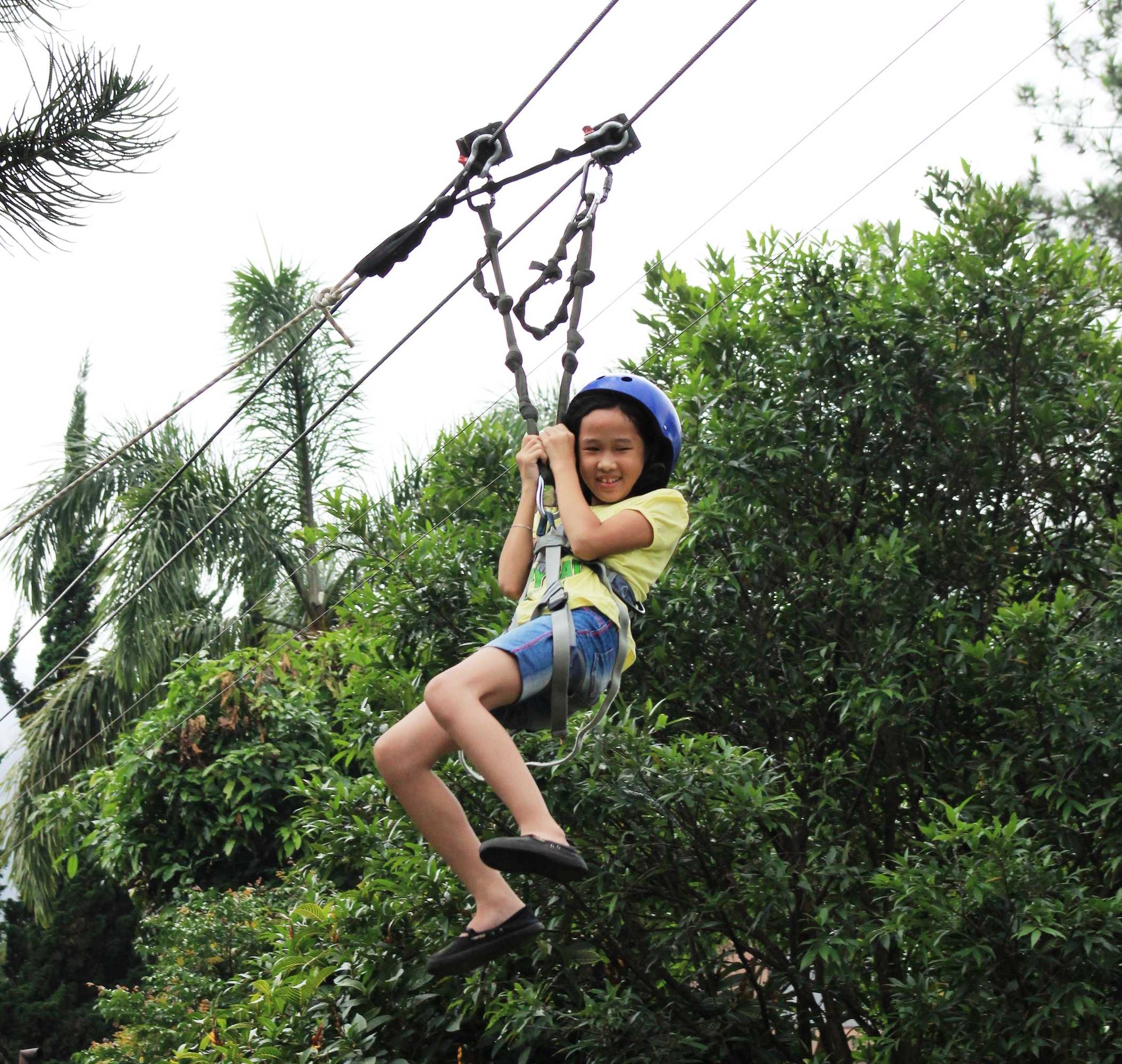 Gift card for Alfa Resort Hotel And Conference