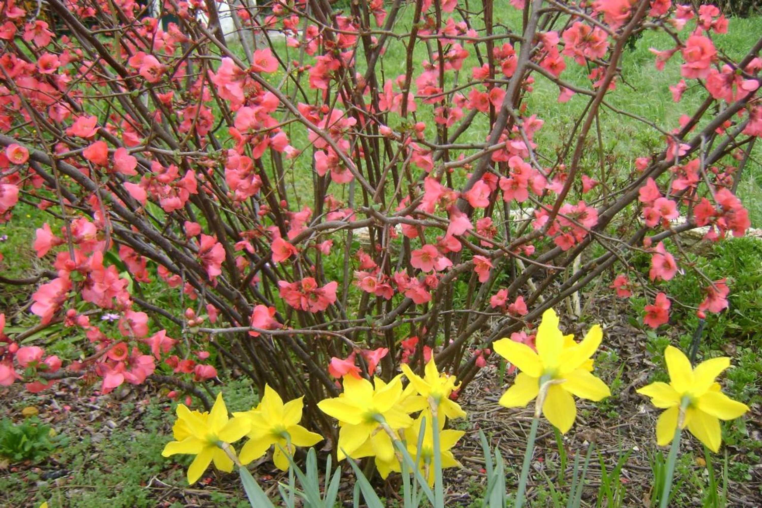 Gift card for Tapada da Beirã