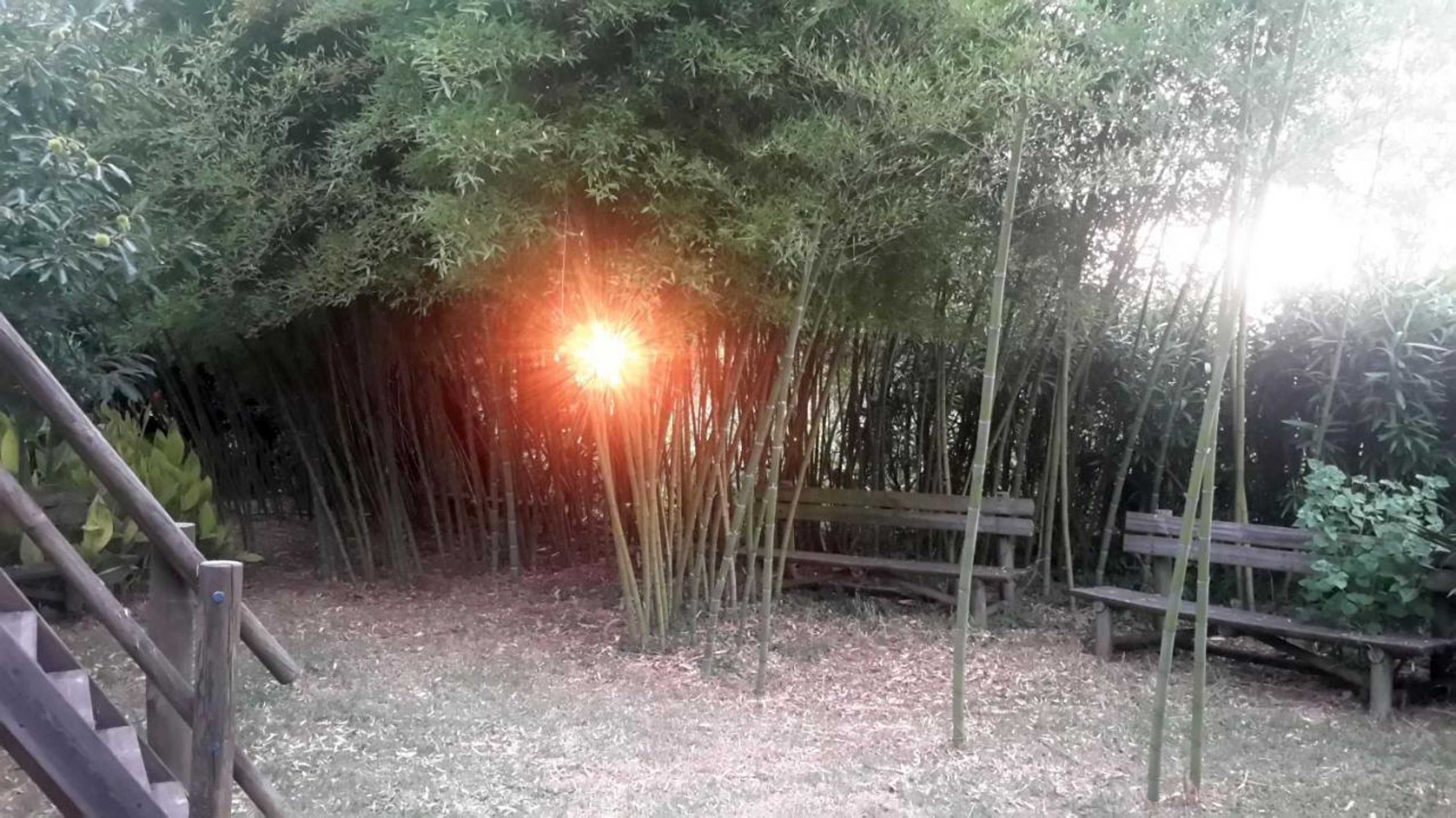 Gift card for Casa Das Três Aguias