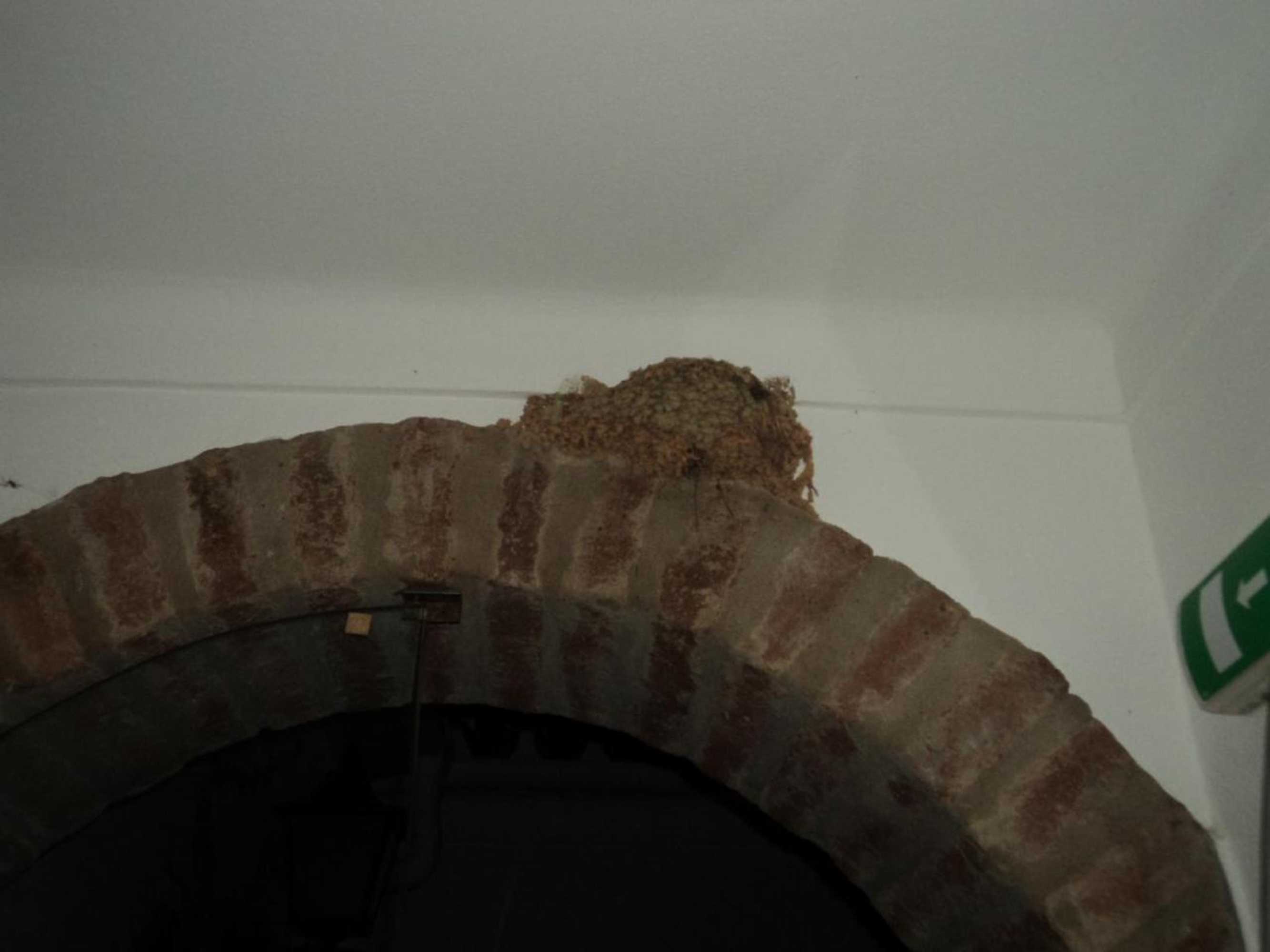 Gift card for Alojamento Pero Rodrigues