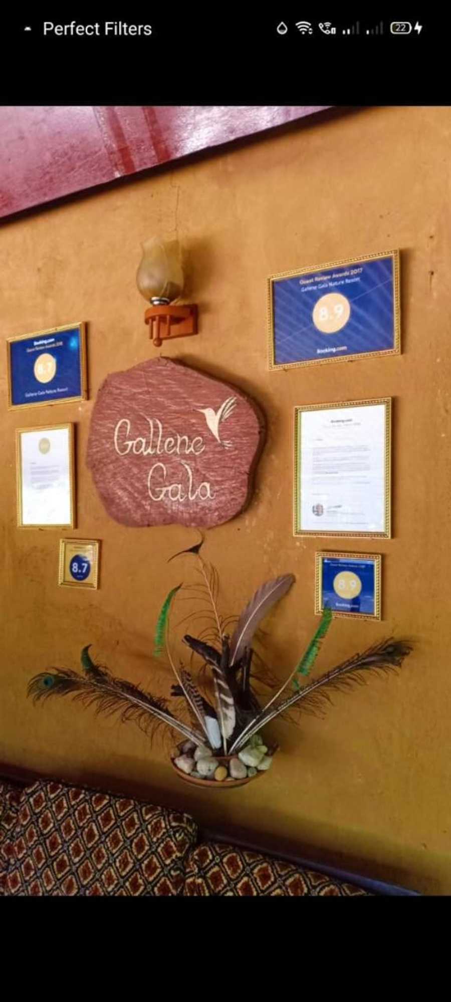 Gift card for Gallene Gala Nature Resort Gift card for Gallene Gala Nature Resort