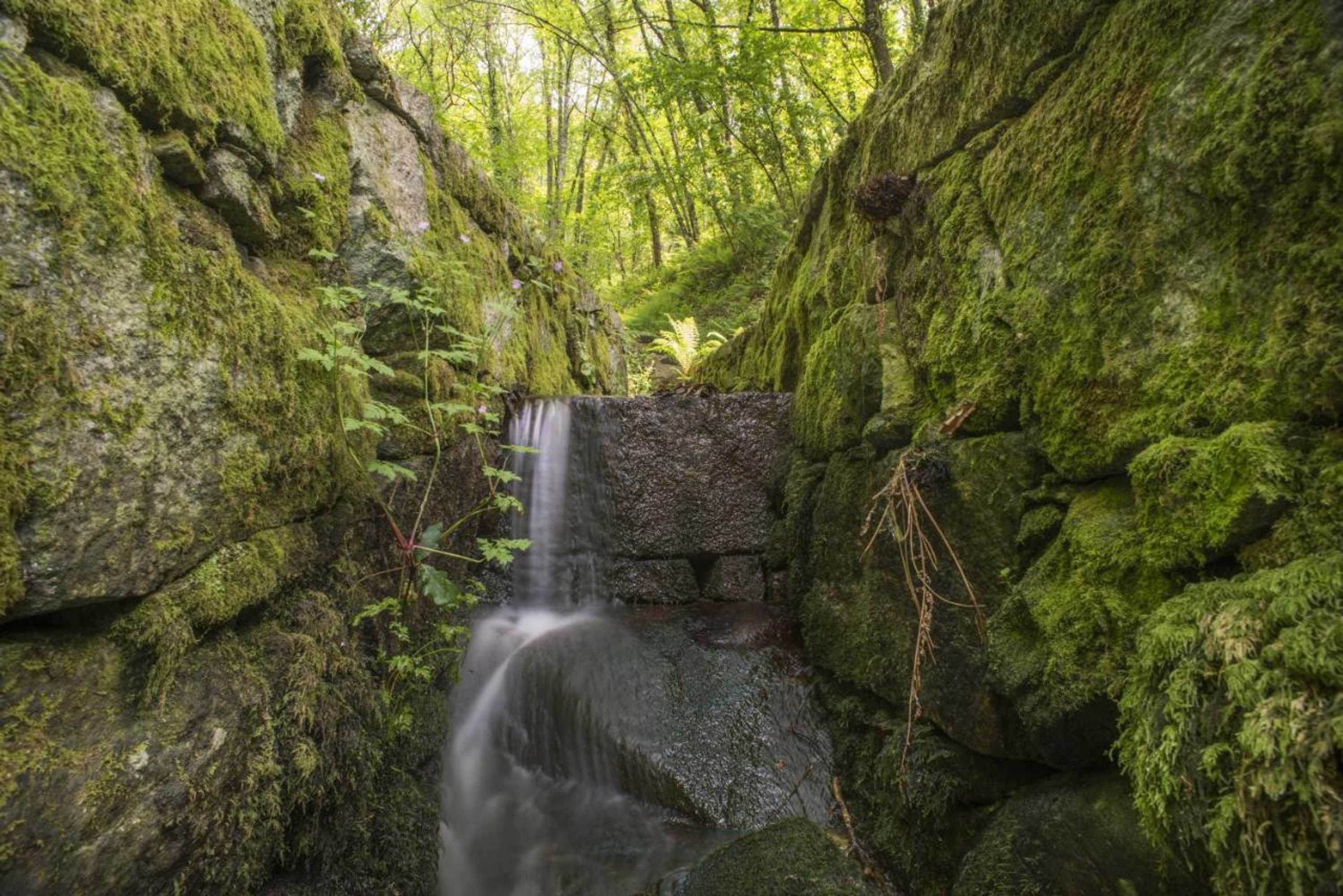 Gift card for Quinta do Fontelo