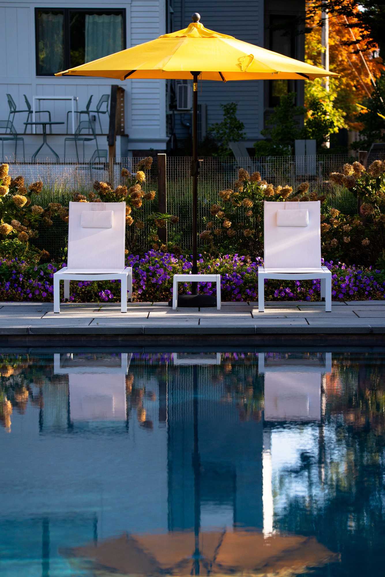 Gift card for The Amelia Gift card for The Amelia