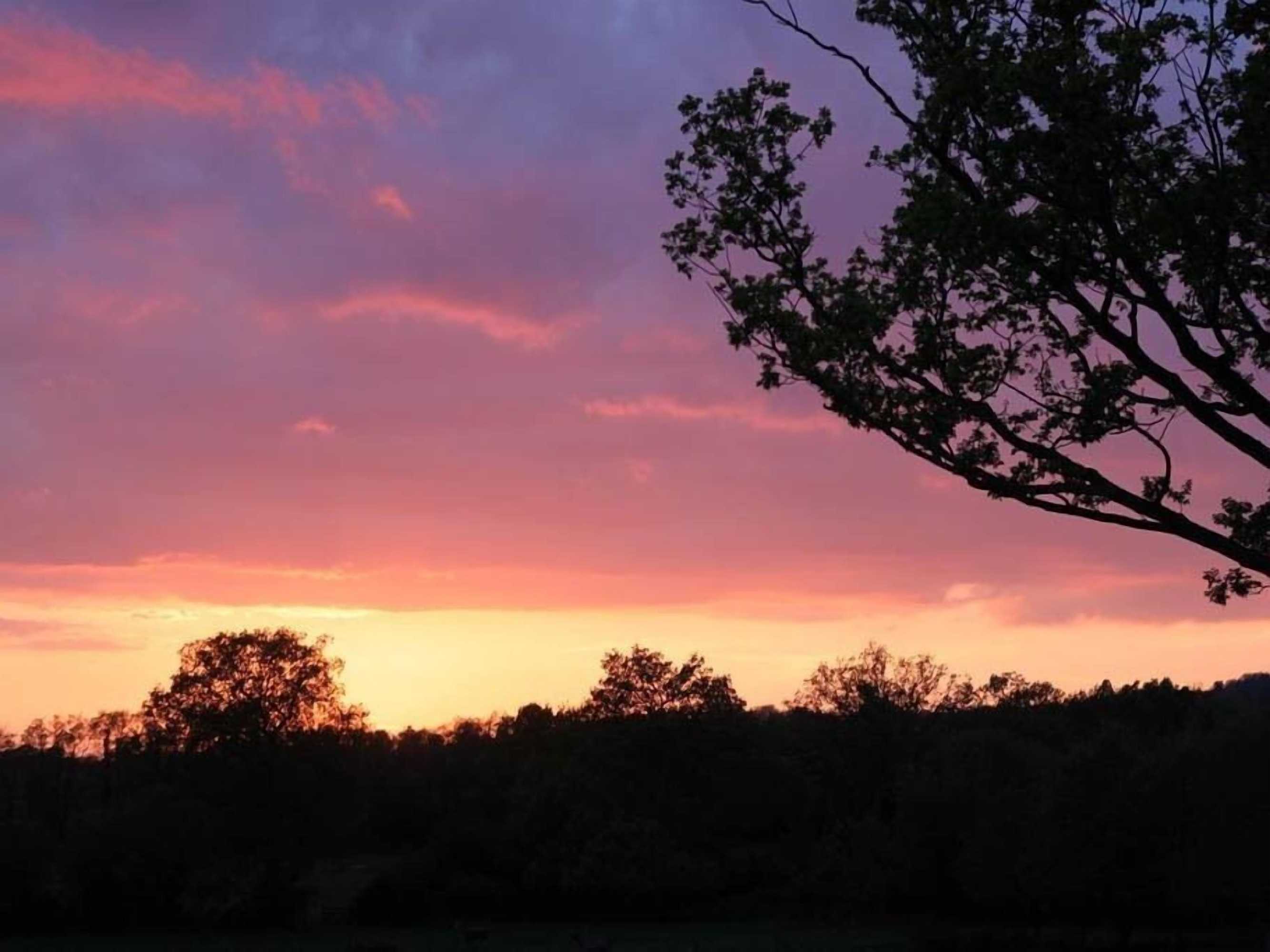 Gift card for Oak House Farm