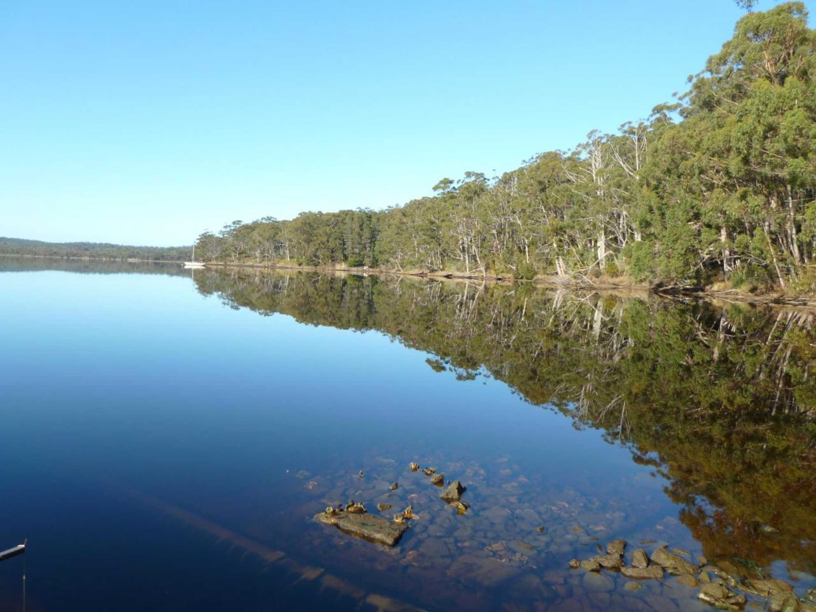 Gift card for Oyster Shack