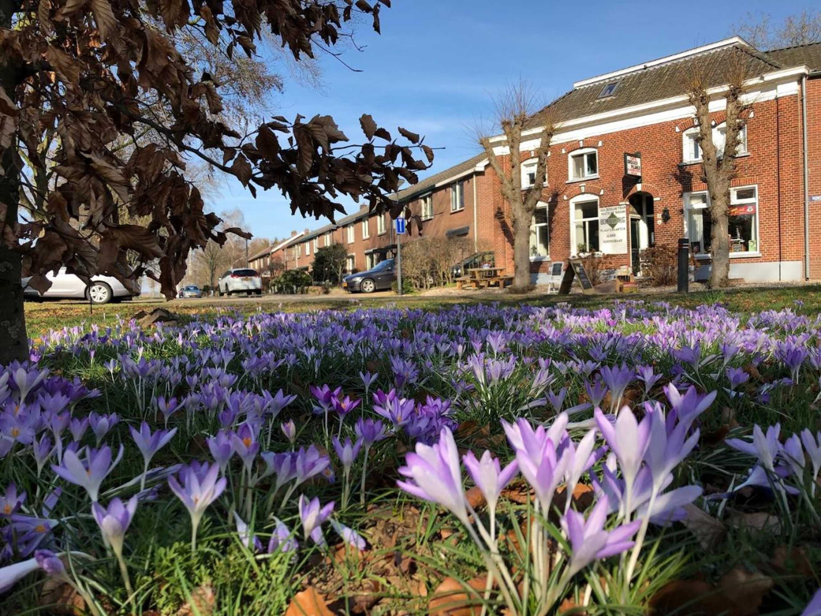 Gift card for Halte Bontebrug