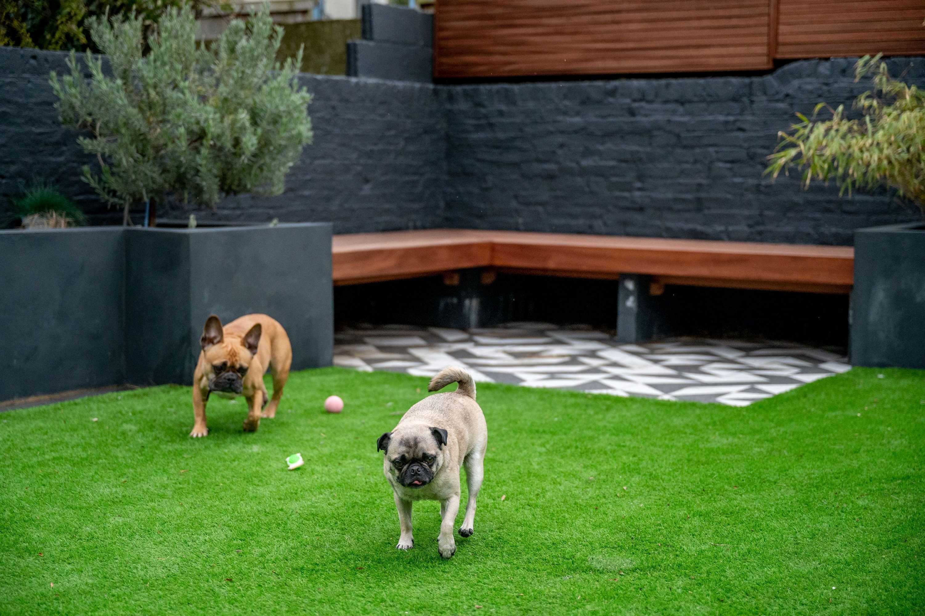 Gift card for Doghouse Margate