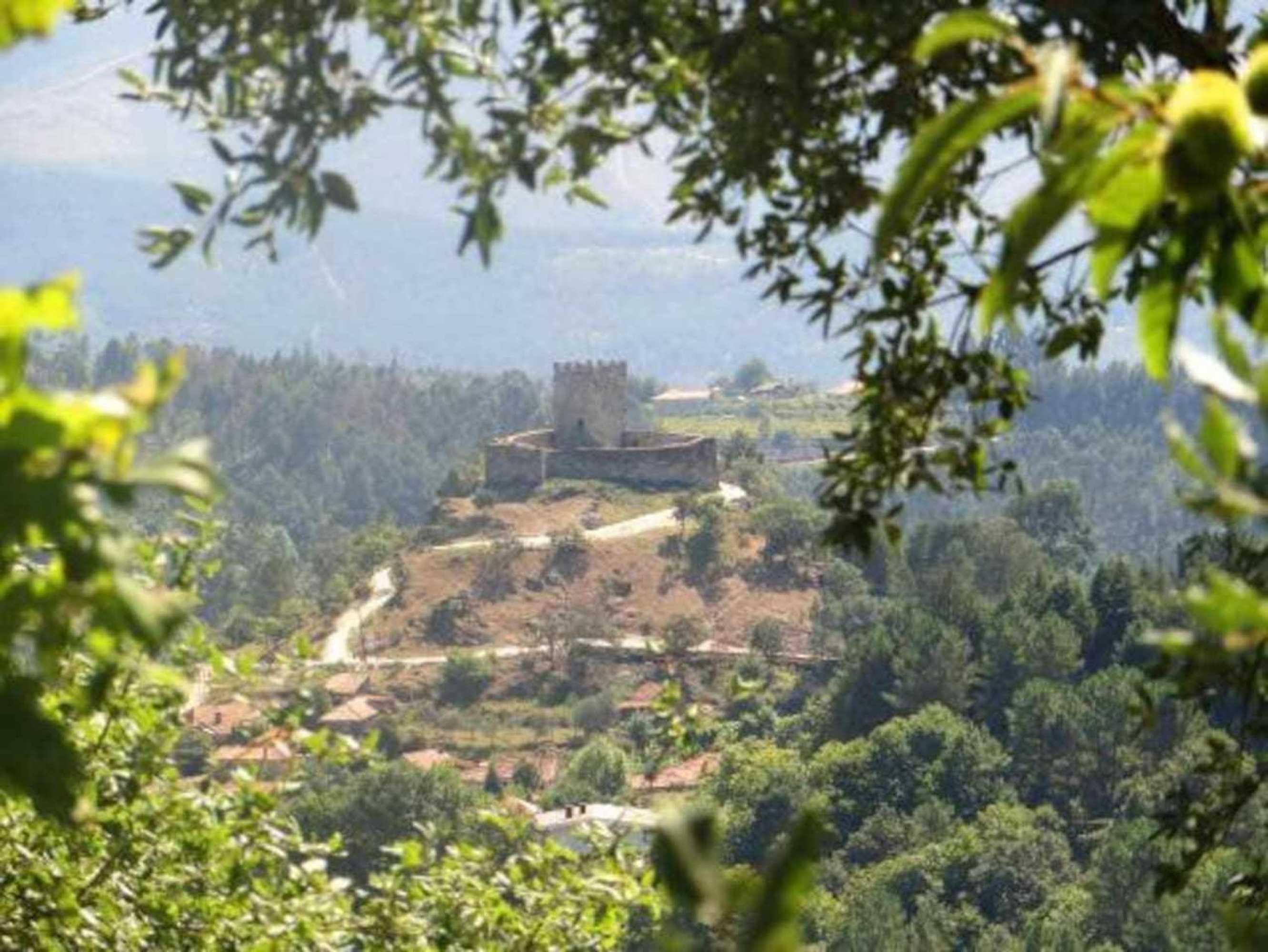 Gift card for Casa da Caneleira Camélias de Basto