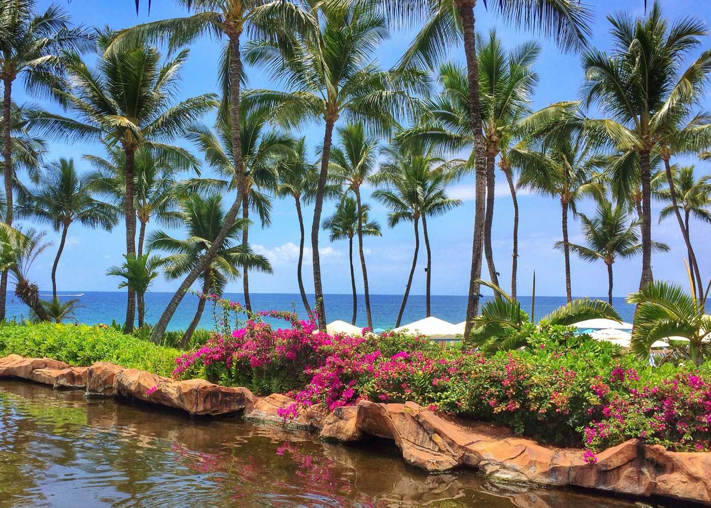 Gift card for Ho'olei at Grand Wailea Gift card for Ho'olei at Grand Wailea