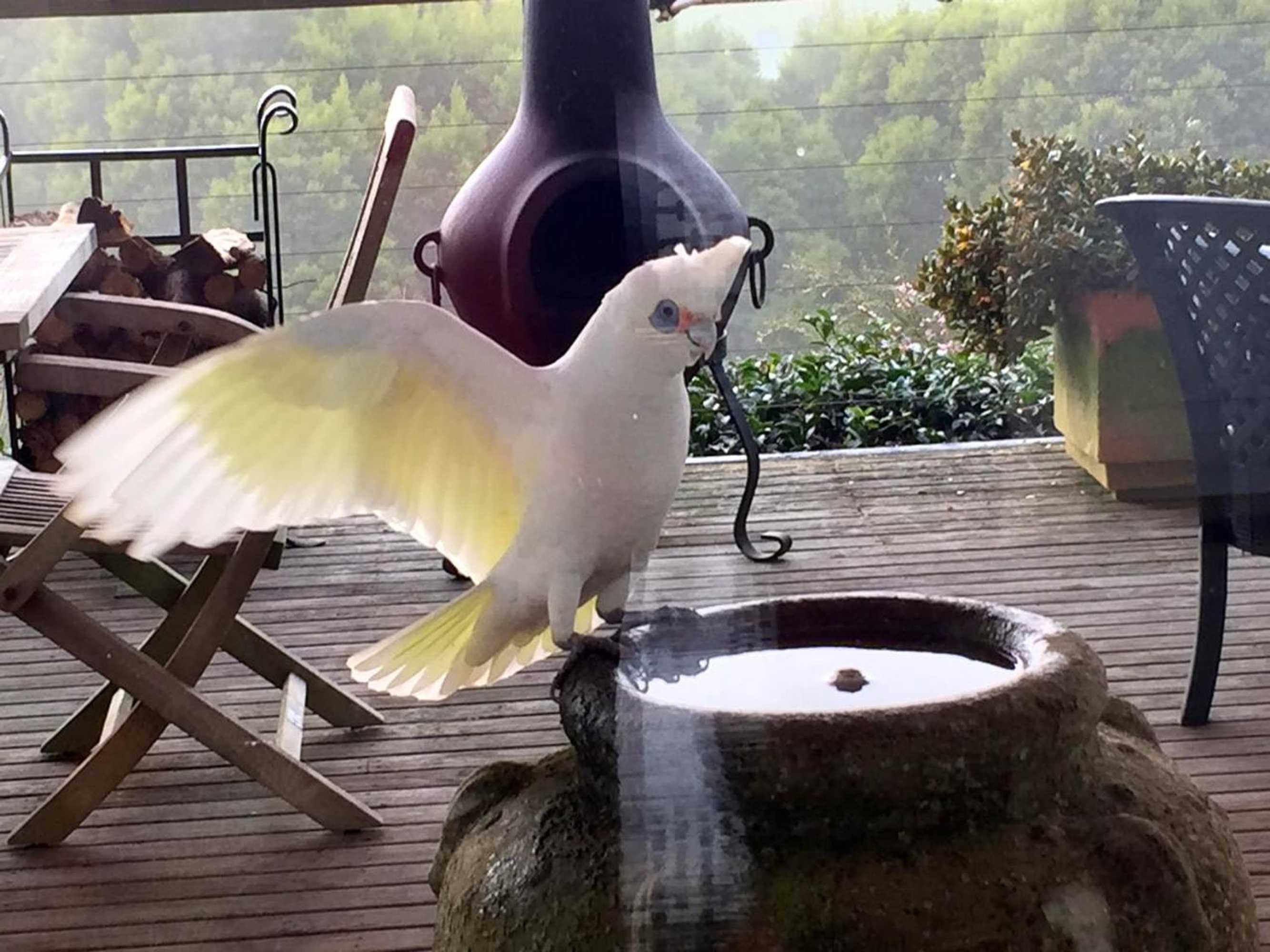 Gift card for Llarrinda Bed & Breakfast