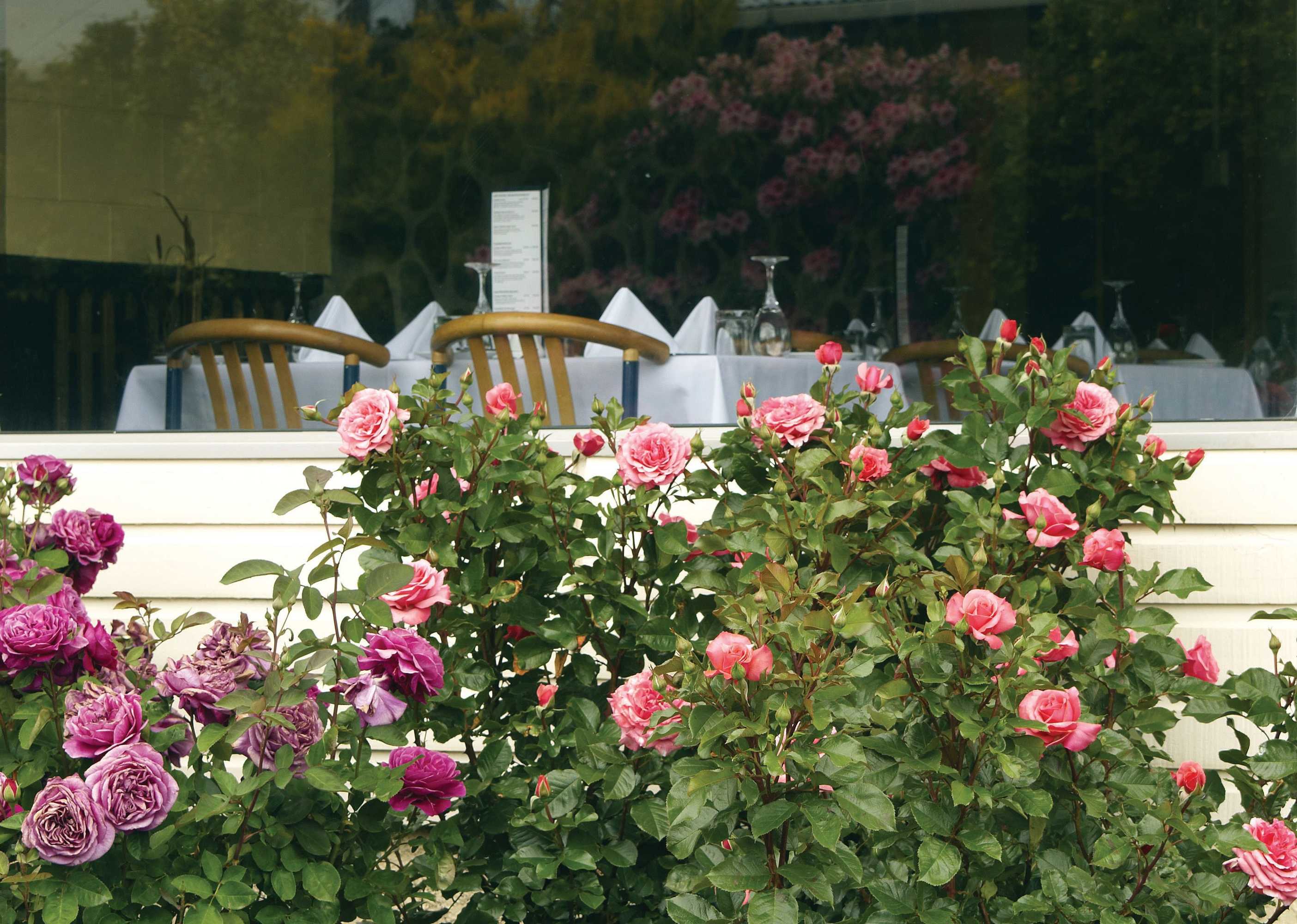 Gift card for Kingsgate Hotel Te Anau Gift card for Kingsgate Hotel Te Anau