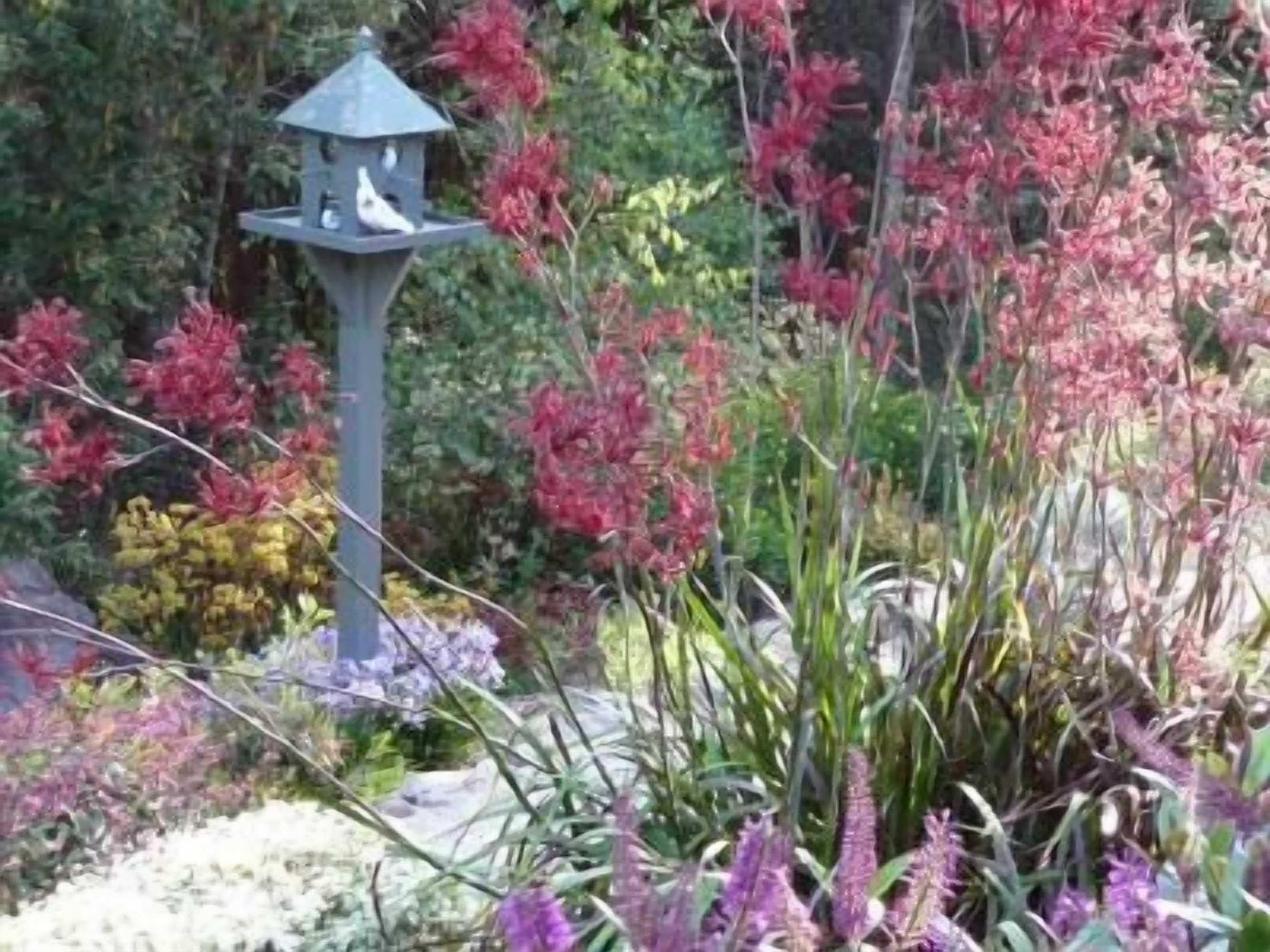 Gift card for Gracehill