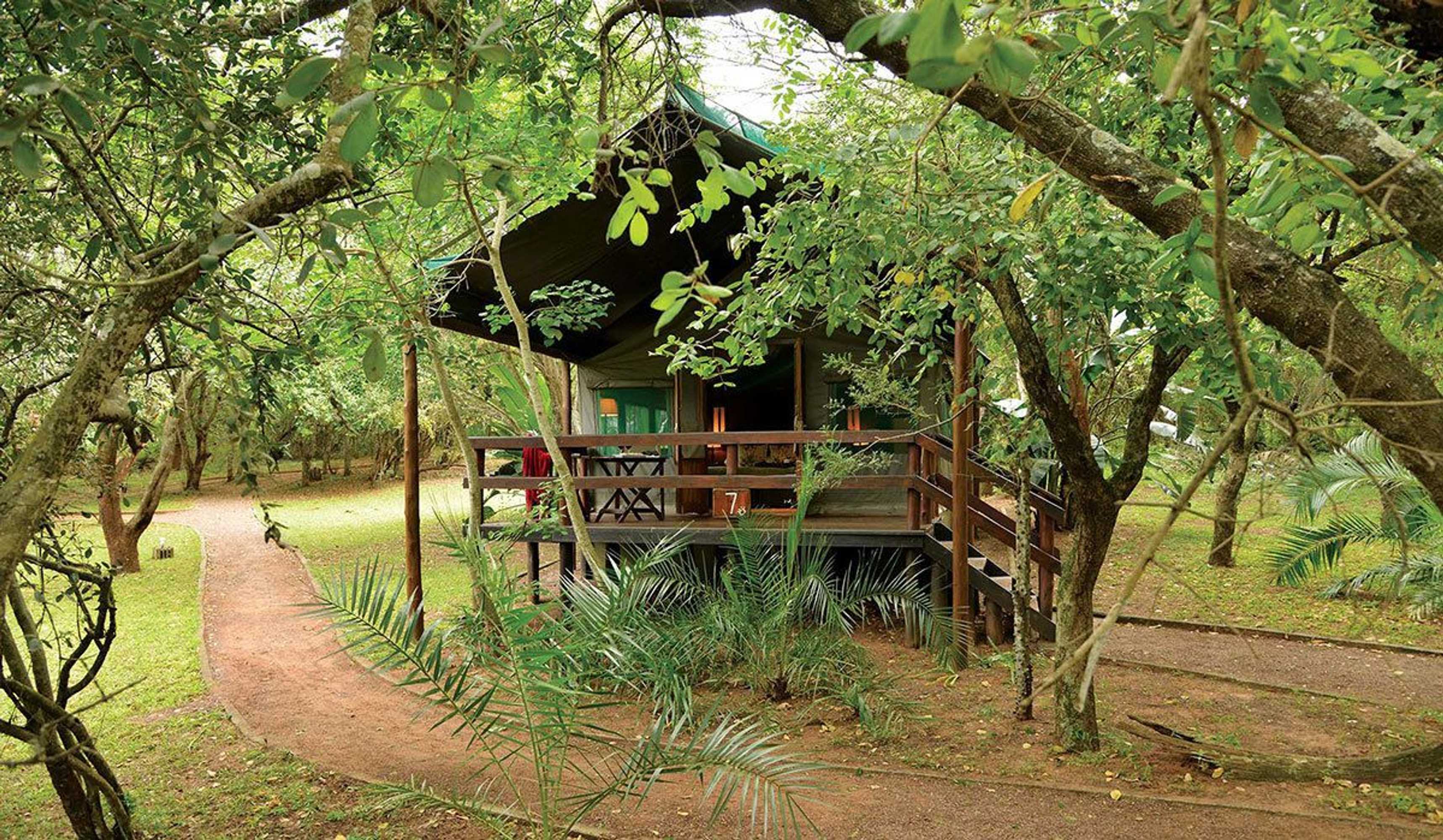 Gift card for Falaza Game Lodge Gift card for Falaza Game Lodge