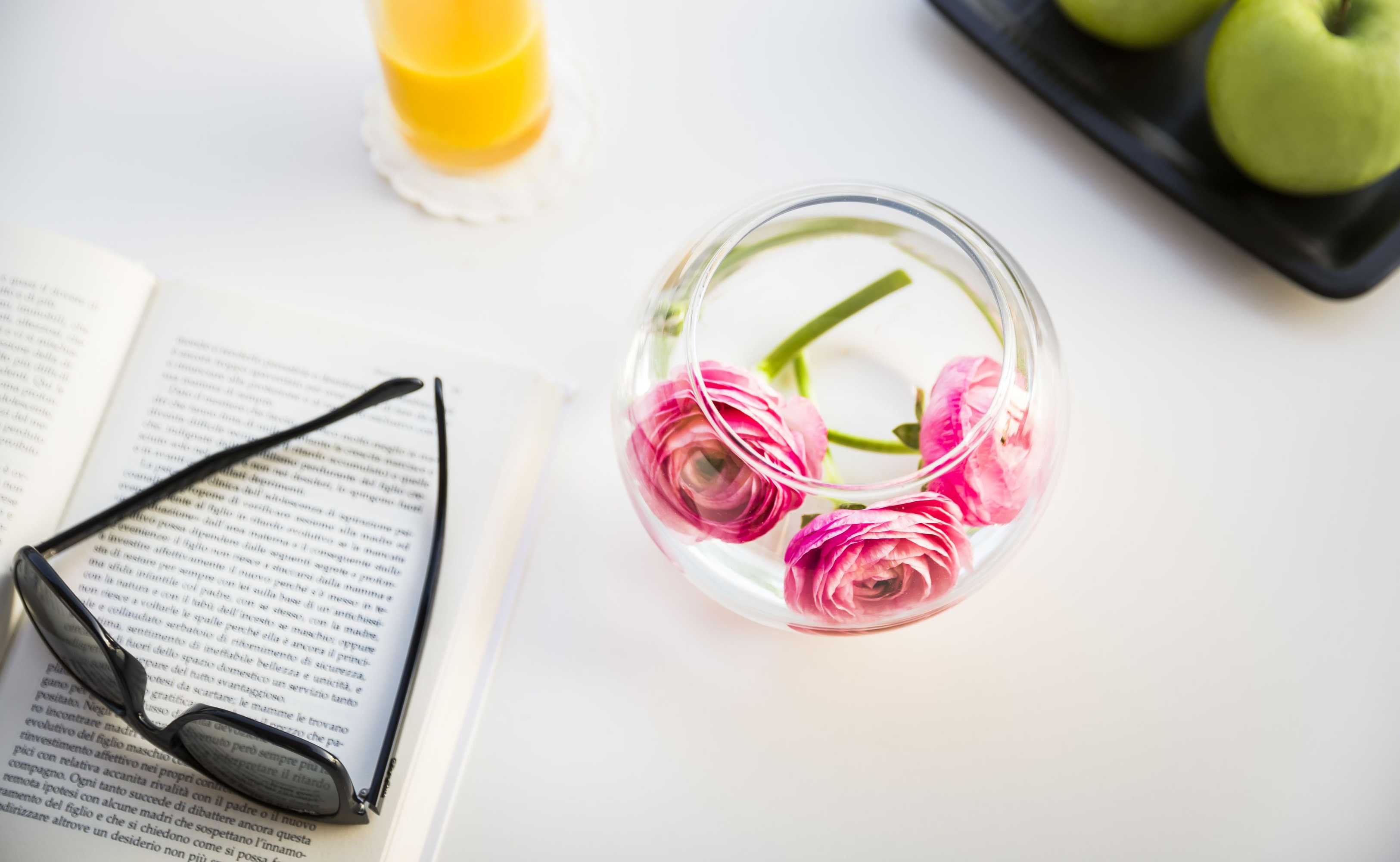 Gift card for Remisens Casa Rosa