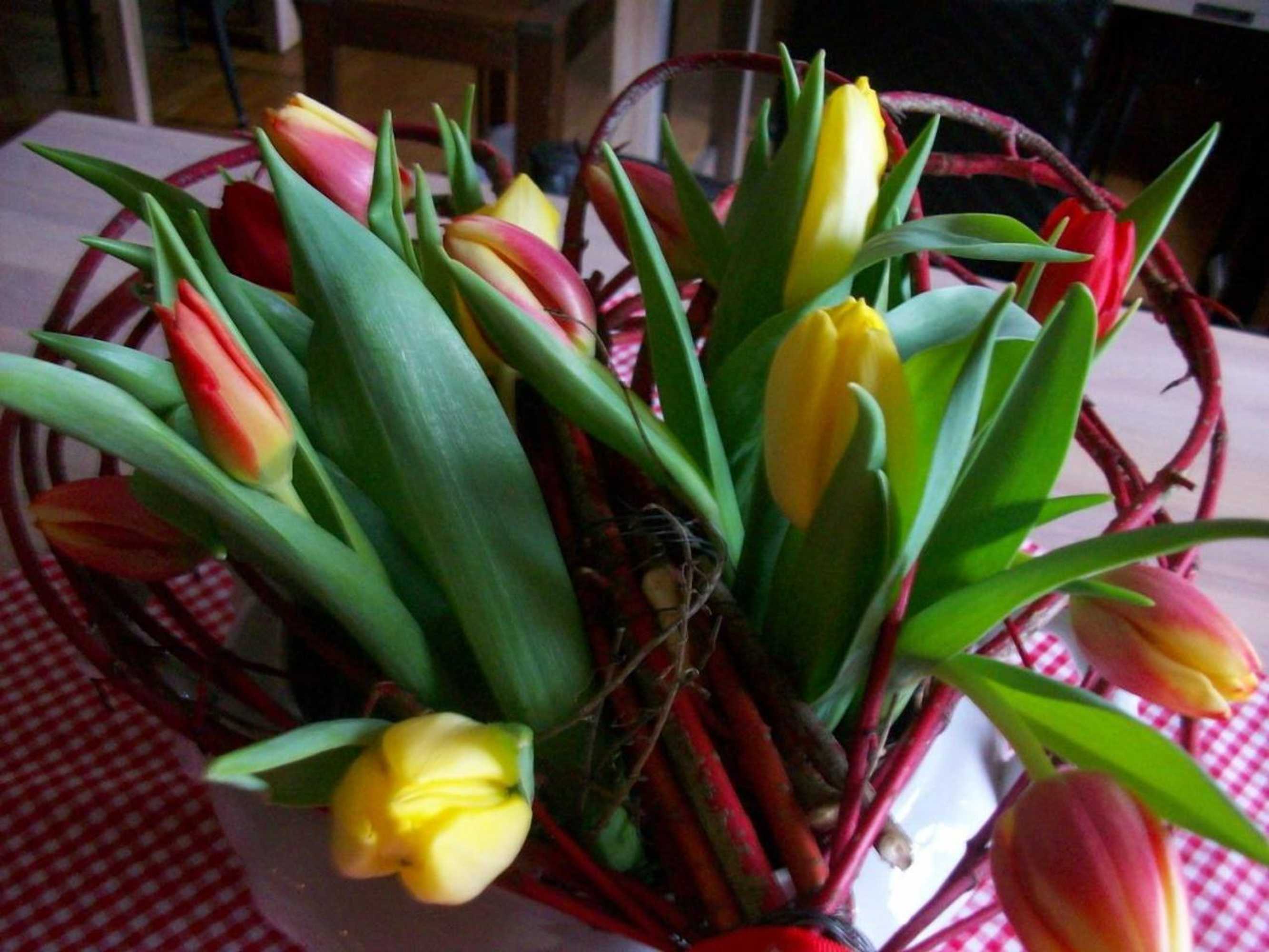 Gift card for Gasthaus Zum Engel