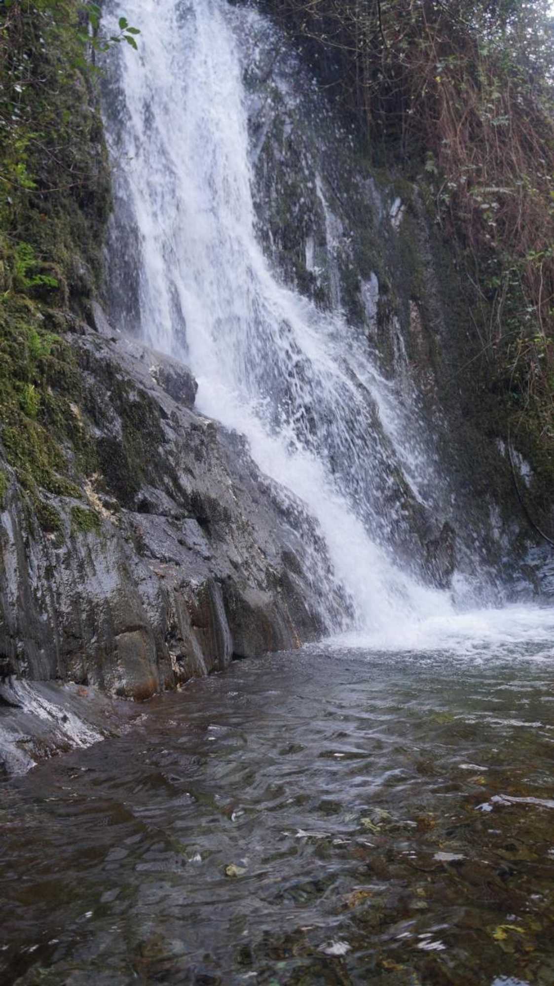 Gift card for Casa da Quelha