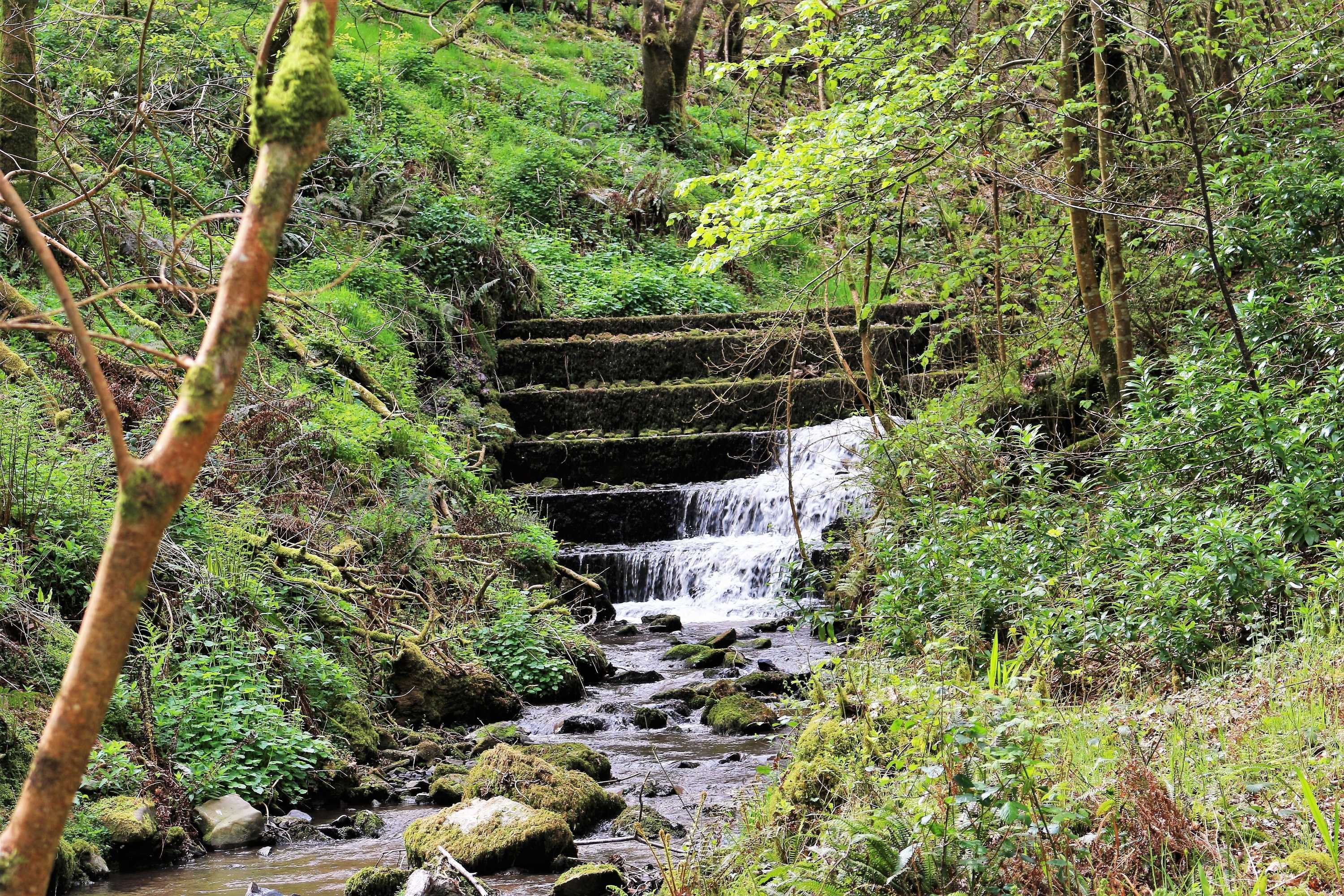 Gift card for Marston Lodge Hotel