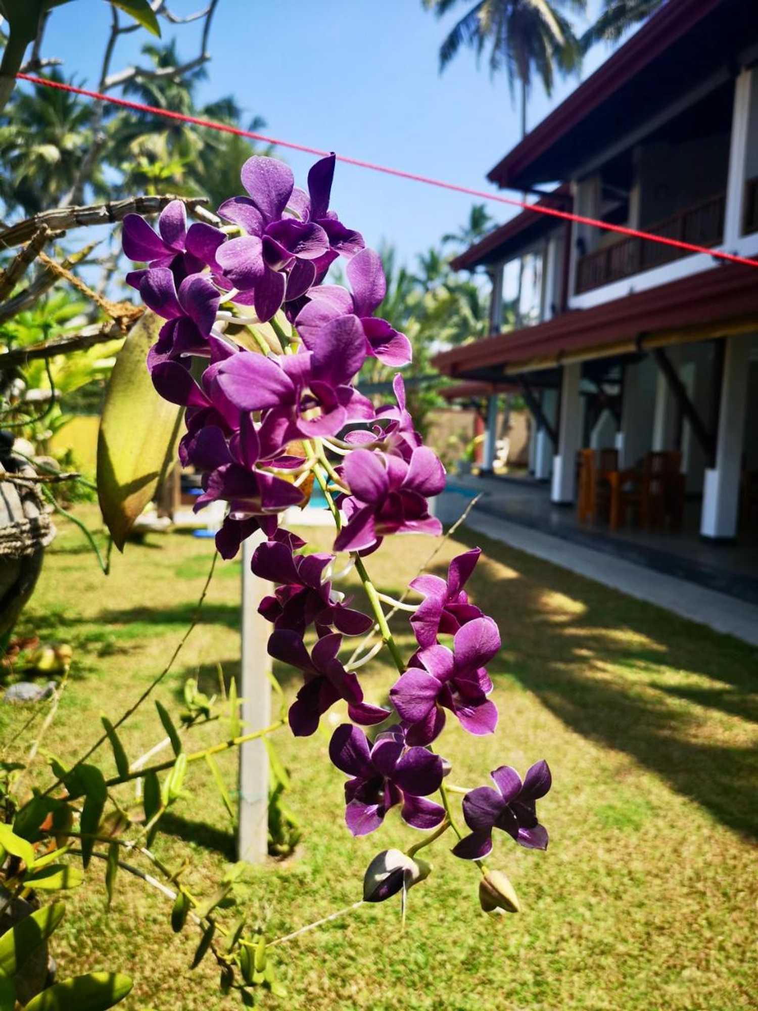 Gift card for Thoduwawa Beach Villa Gift card for Thoduwawa Beach Villa