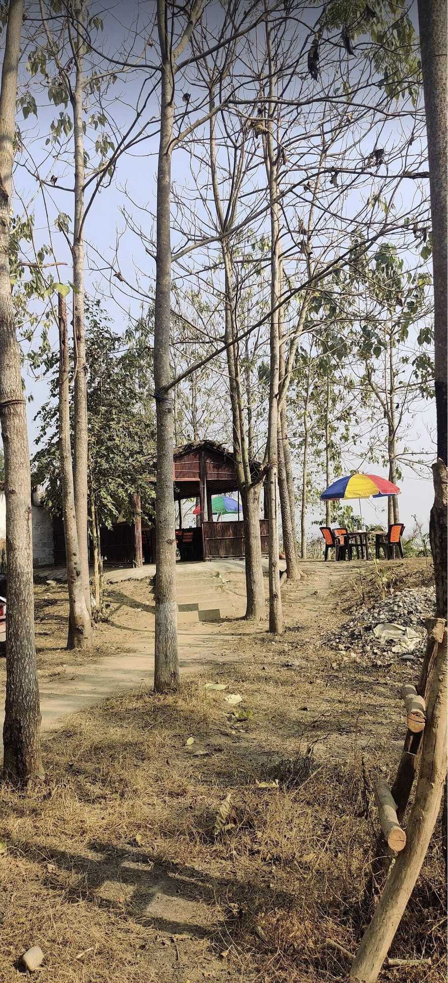 Gift card for Nepal Himalayan Paulownia Resort Gift card for Nepal Himalayan Paulownia Resort