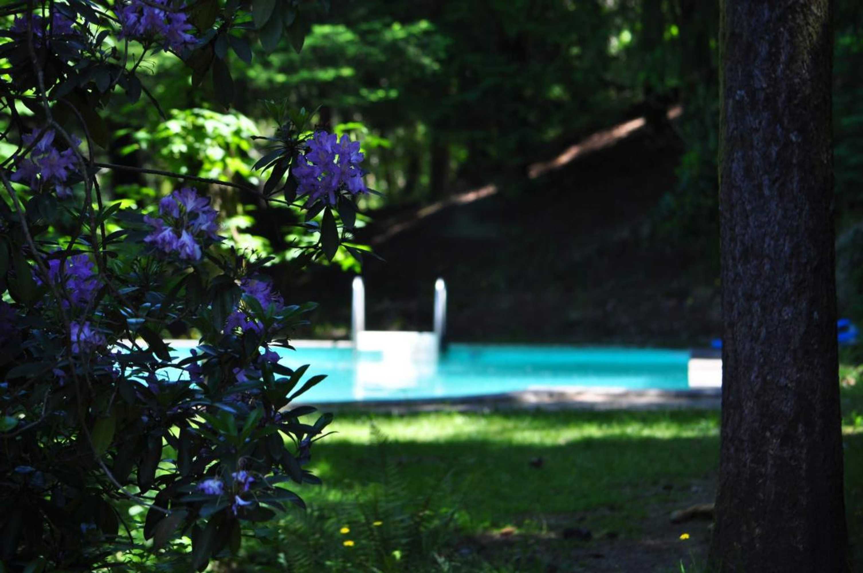 Gift card for Secret do Gerês