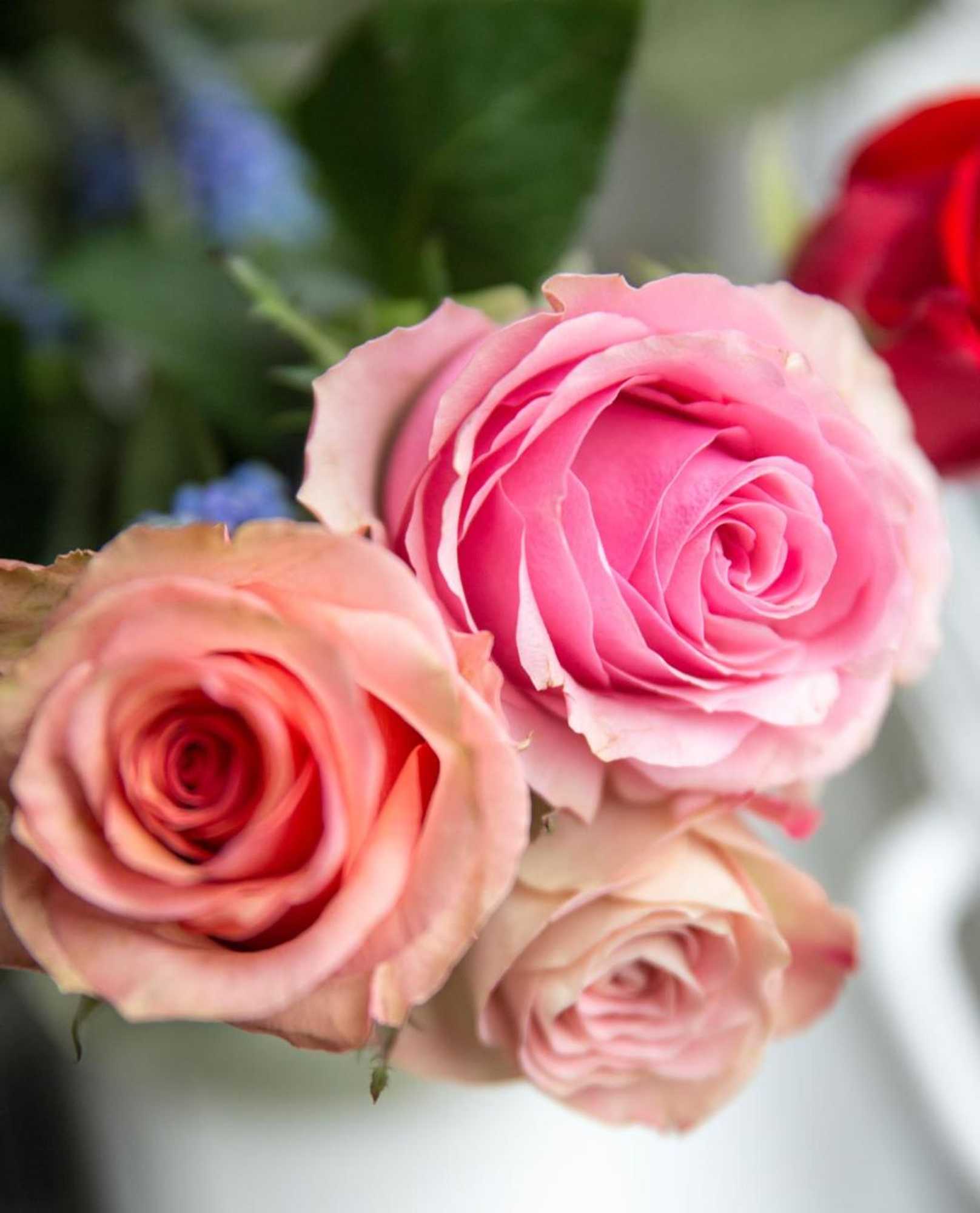 Gift card for City Boutique Ster Logies Leeuwarden De