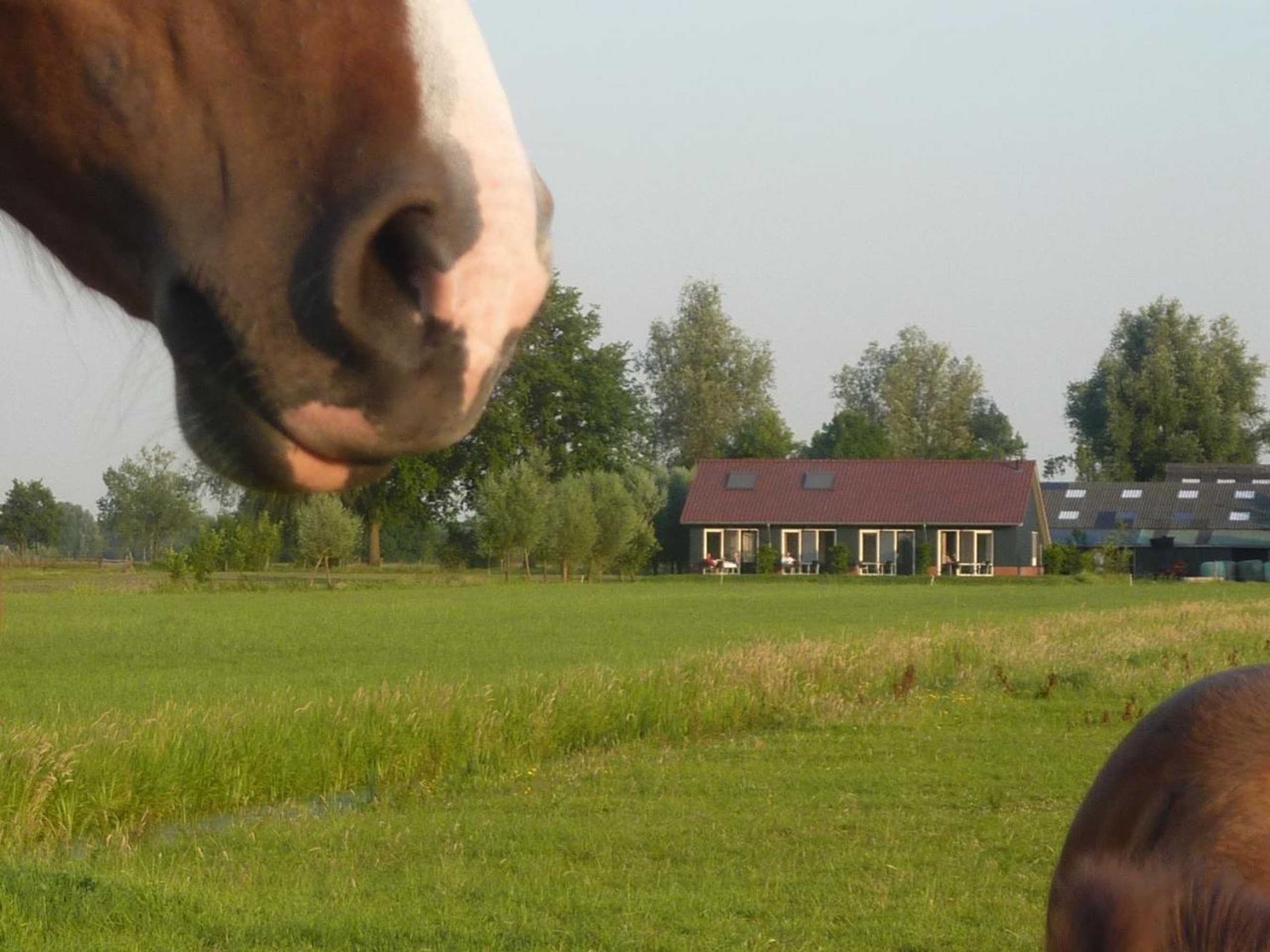 Gift card for Boerderij 