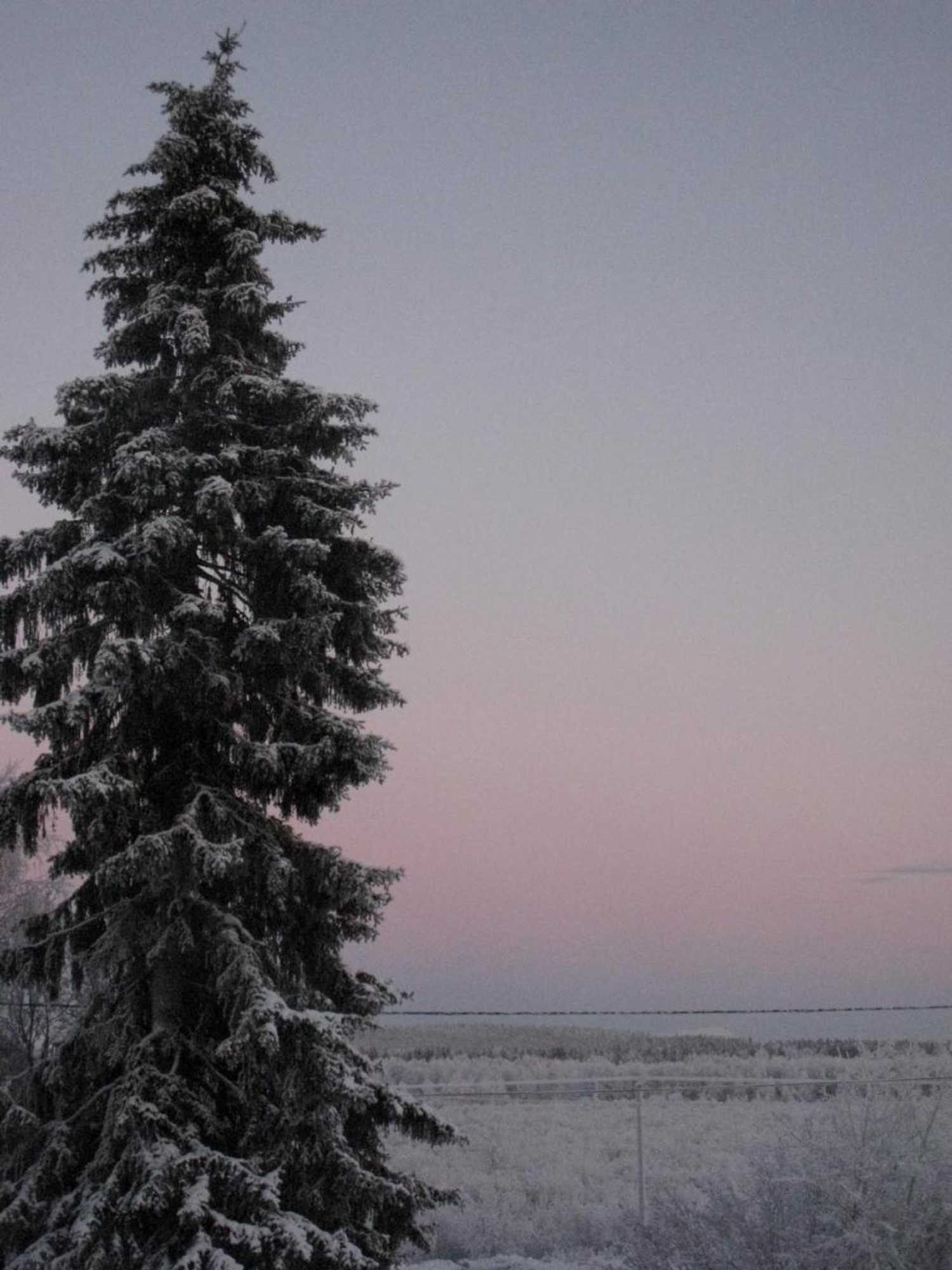 Gift card for Guesthouse Golden Goose