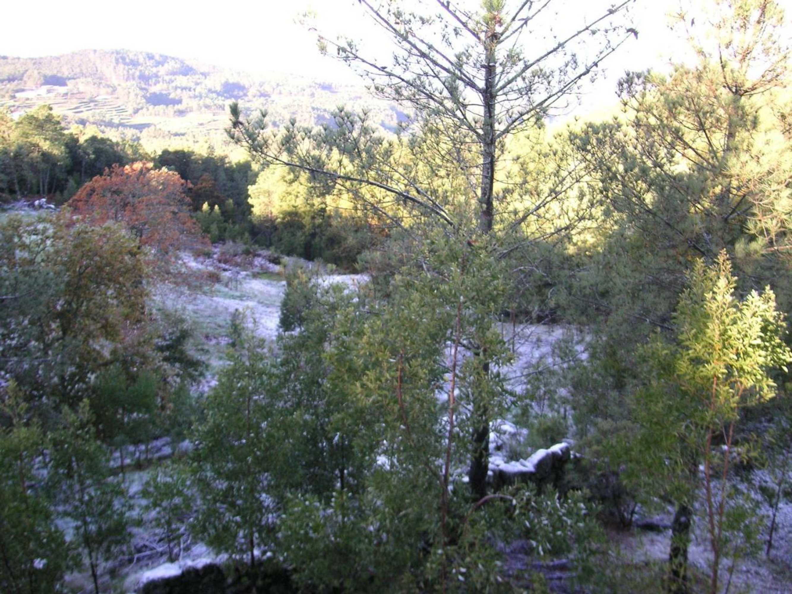 Gift card for Quinta Porto Dos Lobos Gift card for Quinta Porto Dos Lobos