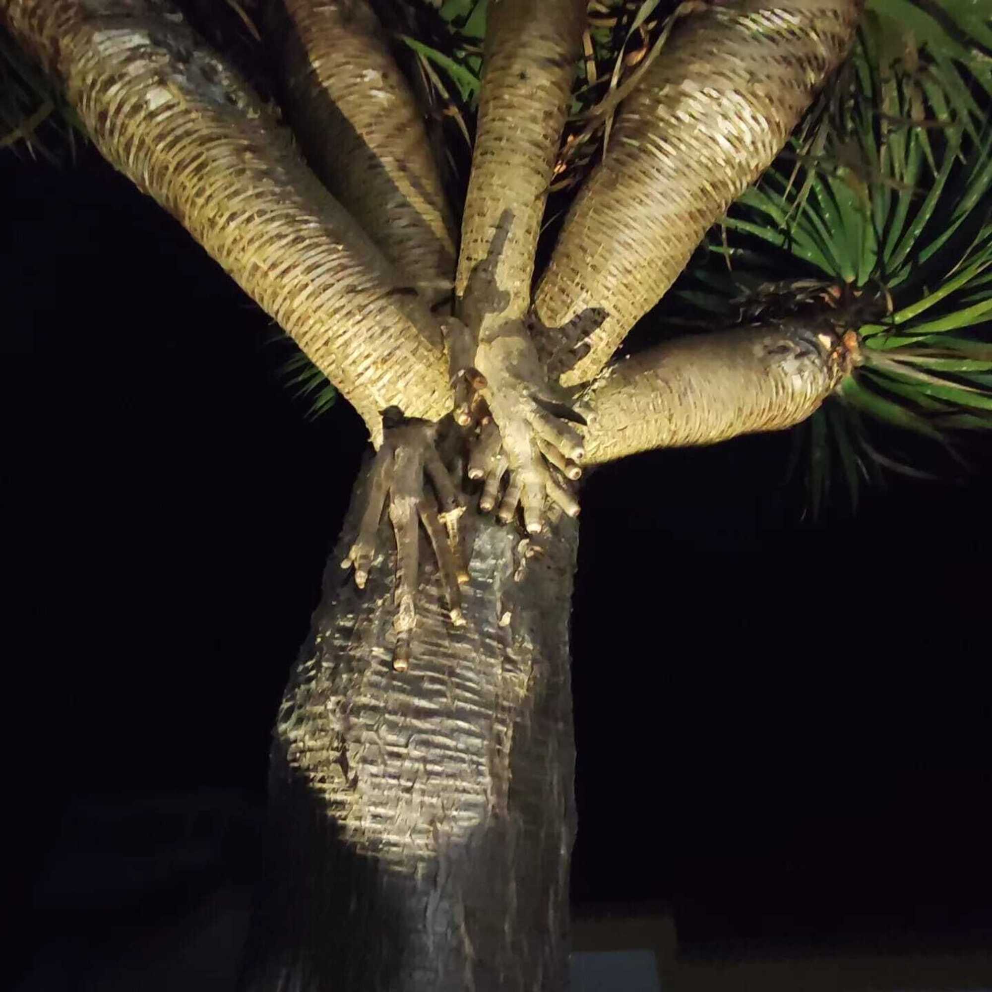 Gift card for Quinta São José da Relva Gift card for Quinta São José da Relva