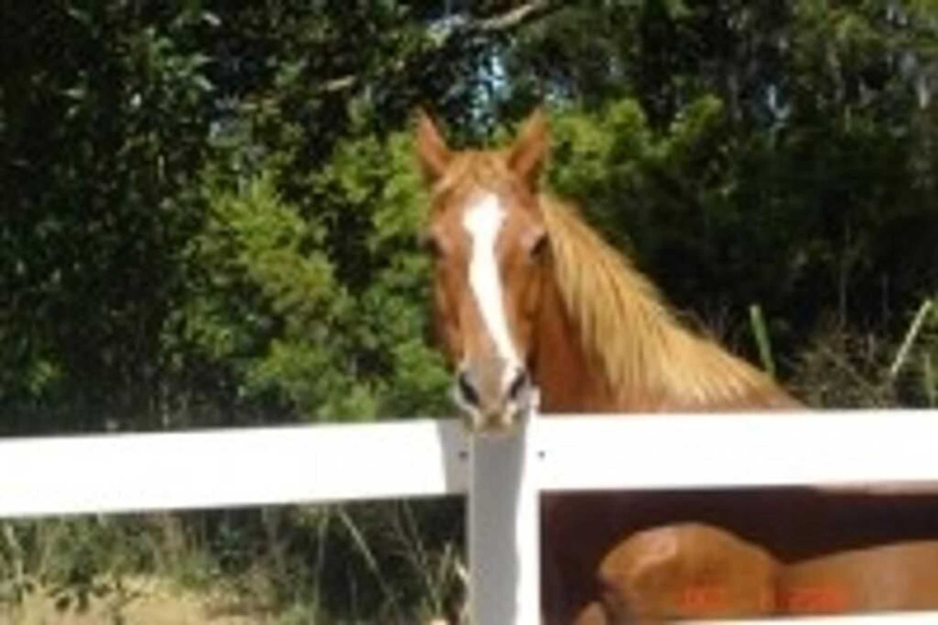 Gift card for Bamboo Valley Inn