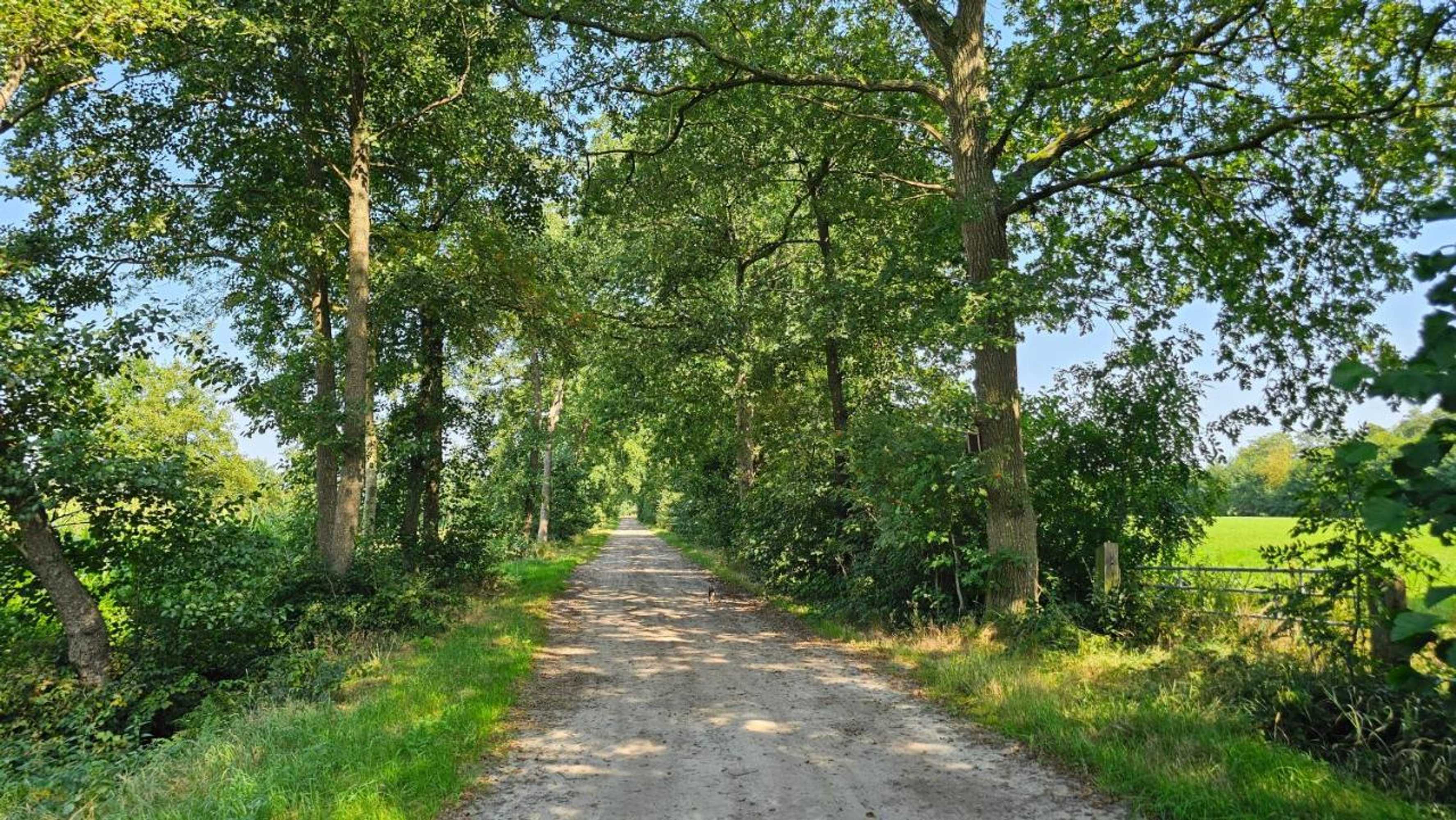 Gift card for Vakantiehuis 