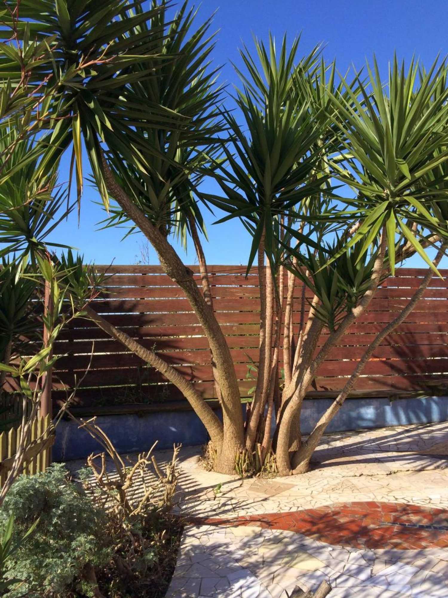 Gift card for Casa Das Três Aguias