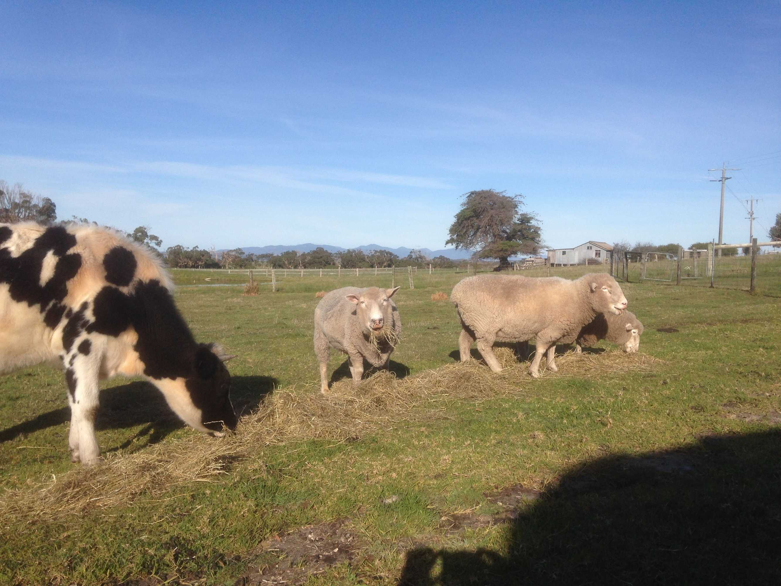 Gift card for Prom Coast Holiday Lodge